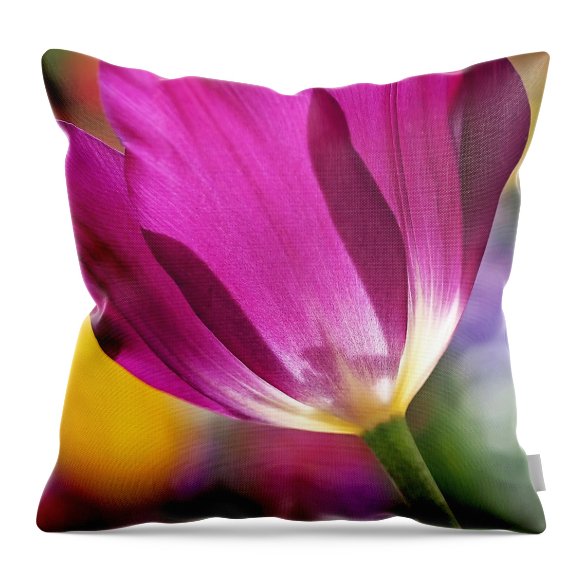 Tulip Throw Pillow featuring the photograph Spring Tulip - Square by Rona Black