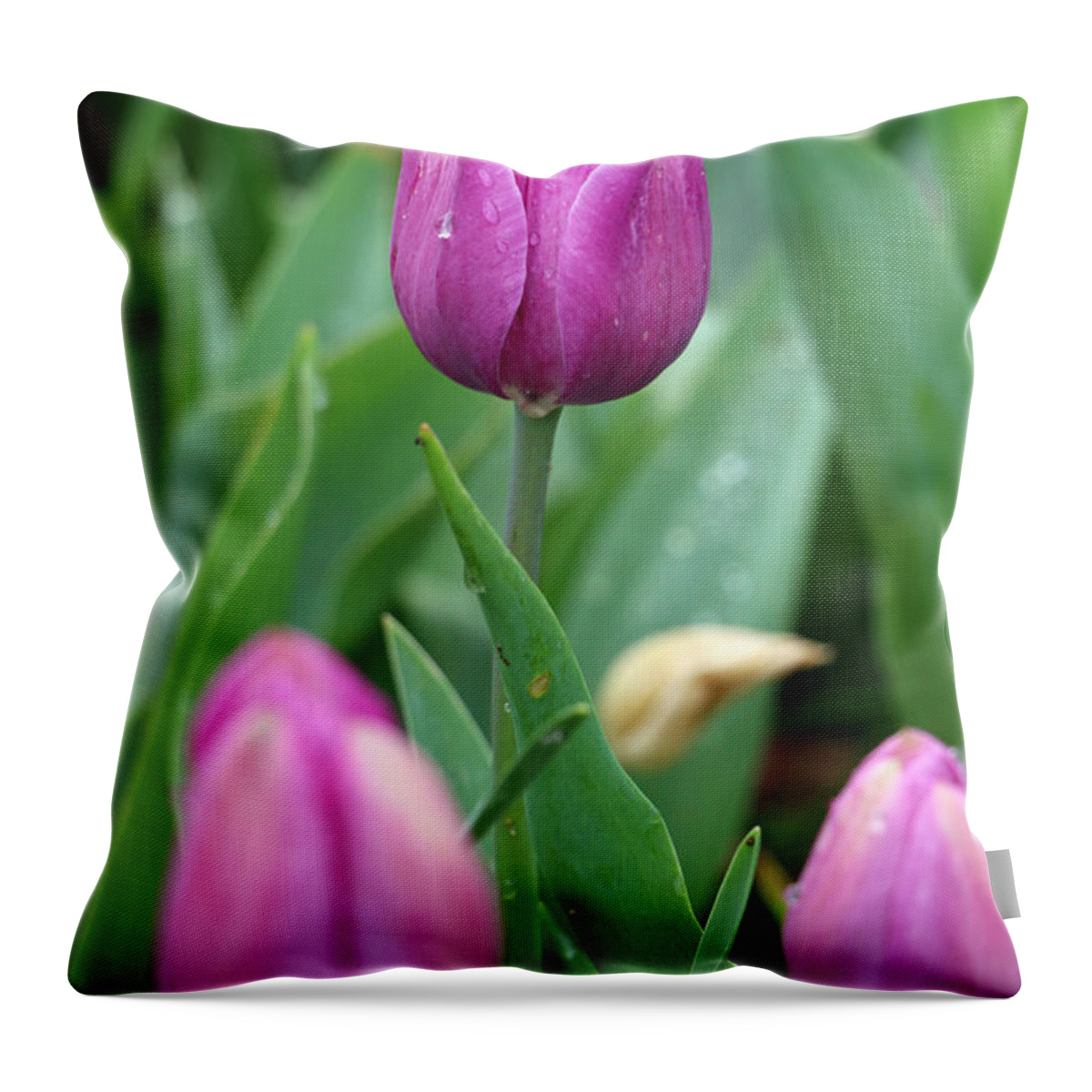 Tulip Throw Pillow featuring the photograph Spring Tulips 65 by Pamela Critchlow