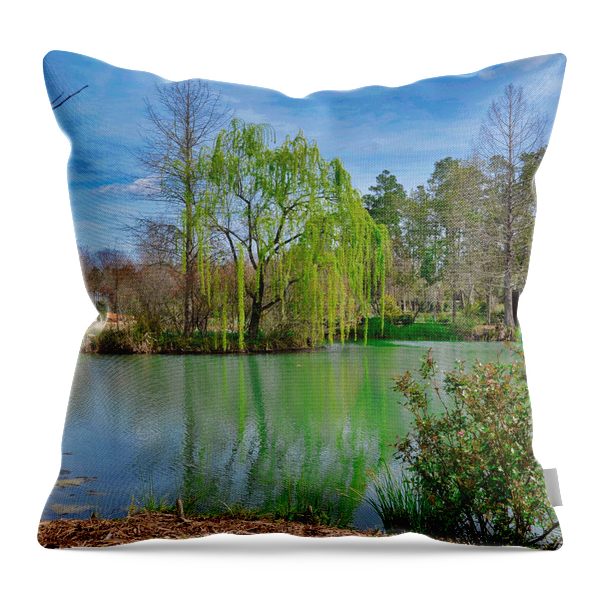 Lake Throw Pillow featuring the photograph Spring Willow by Linda Brown