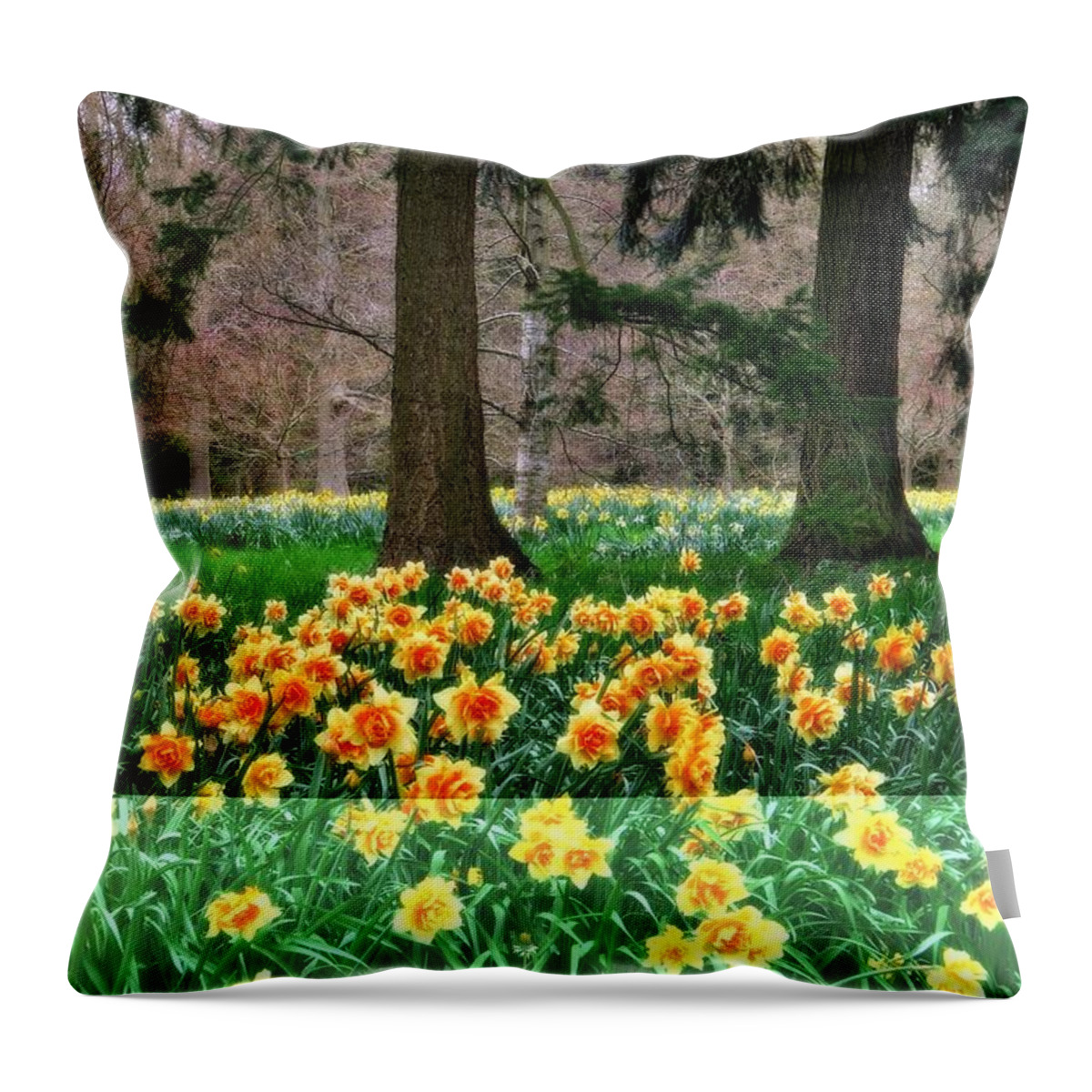 Daffodil Wood Throw Pillow featuring the photograph Spring Woodland Daffodils by Martyn Arnold