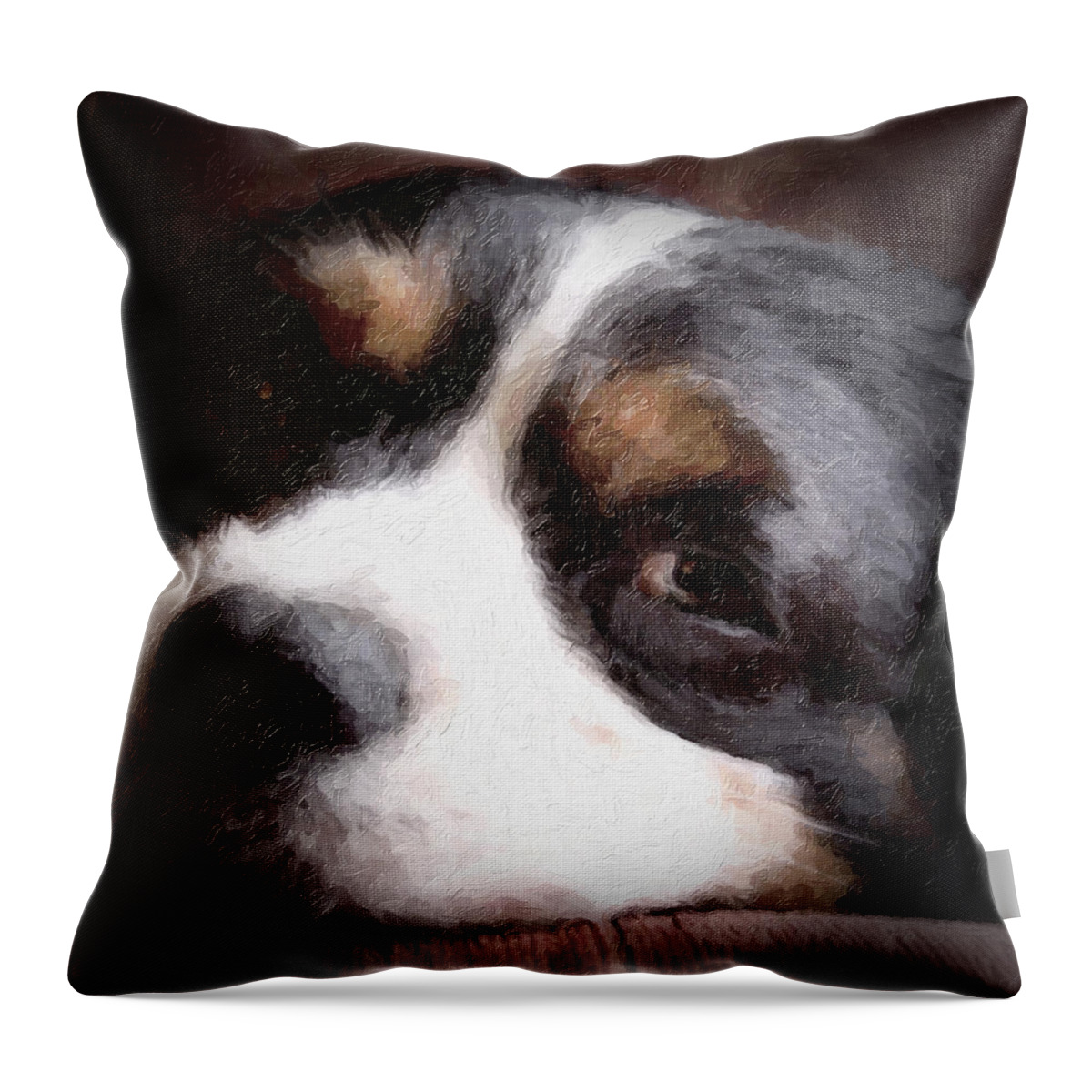 Dog Throw Pillow featuring the photograph Springer Spaniel by Tom Mc Nemar