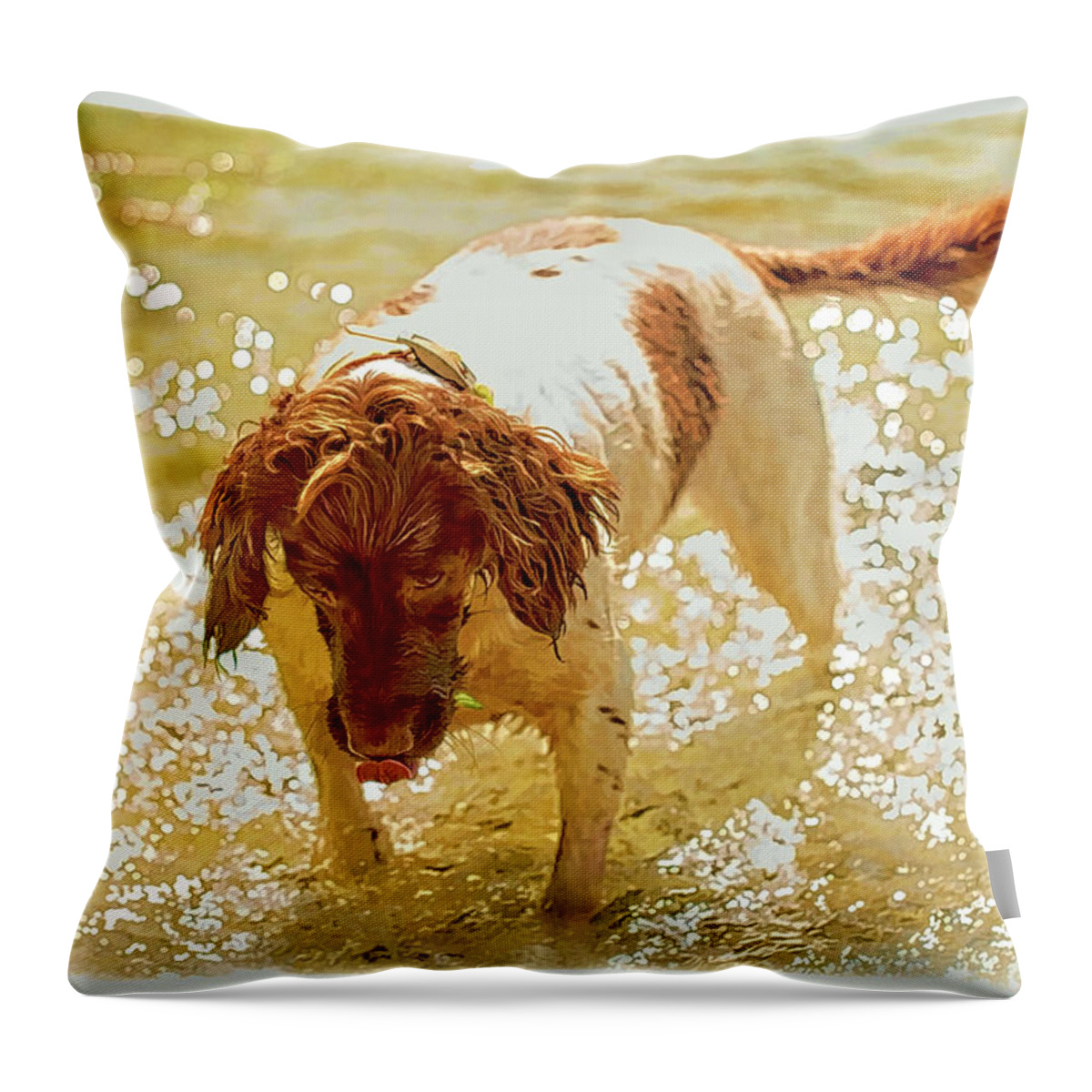  Throw Pillow featuring the photograph Springer WC by Constantine Gregory