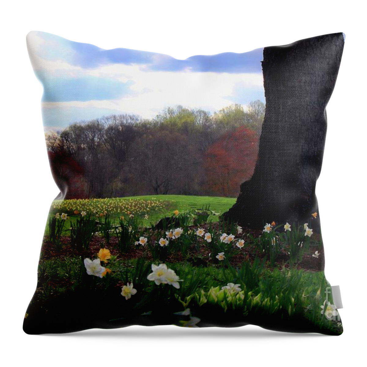 Edgemont Golf Course Newtown Square Pa Throw Pillow featuring the photograph Springing Forward at Edgemont Golf Course by Polly Peacock