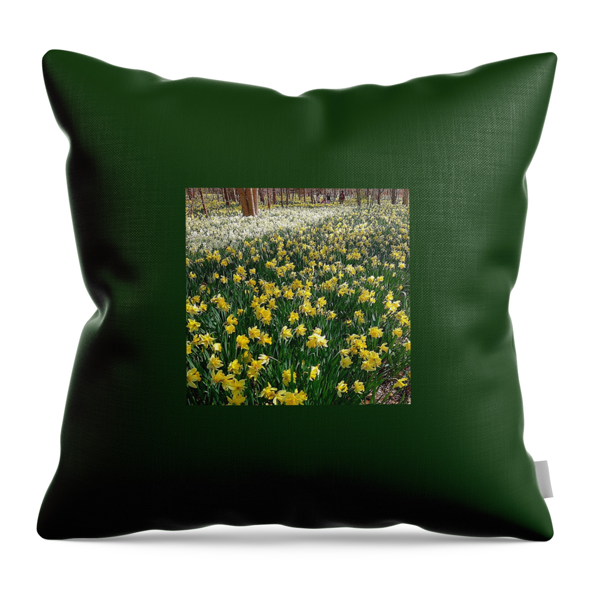 Southcoast Throw Pillow featuring the photograph A Spring Of Hope by Kate Arsenault 