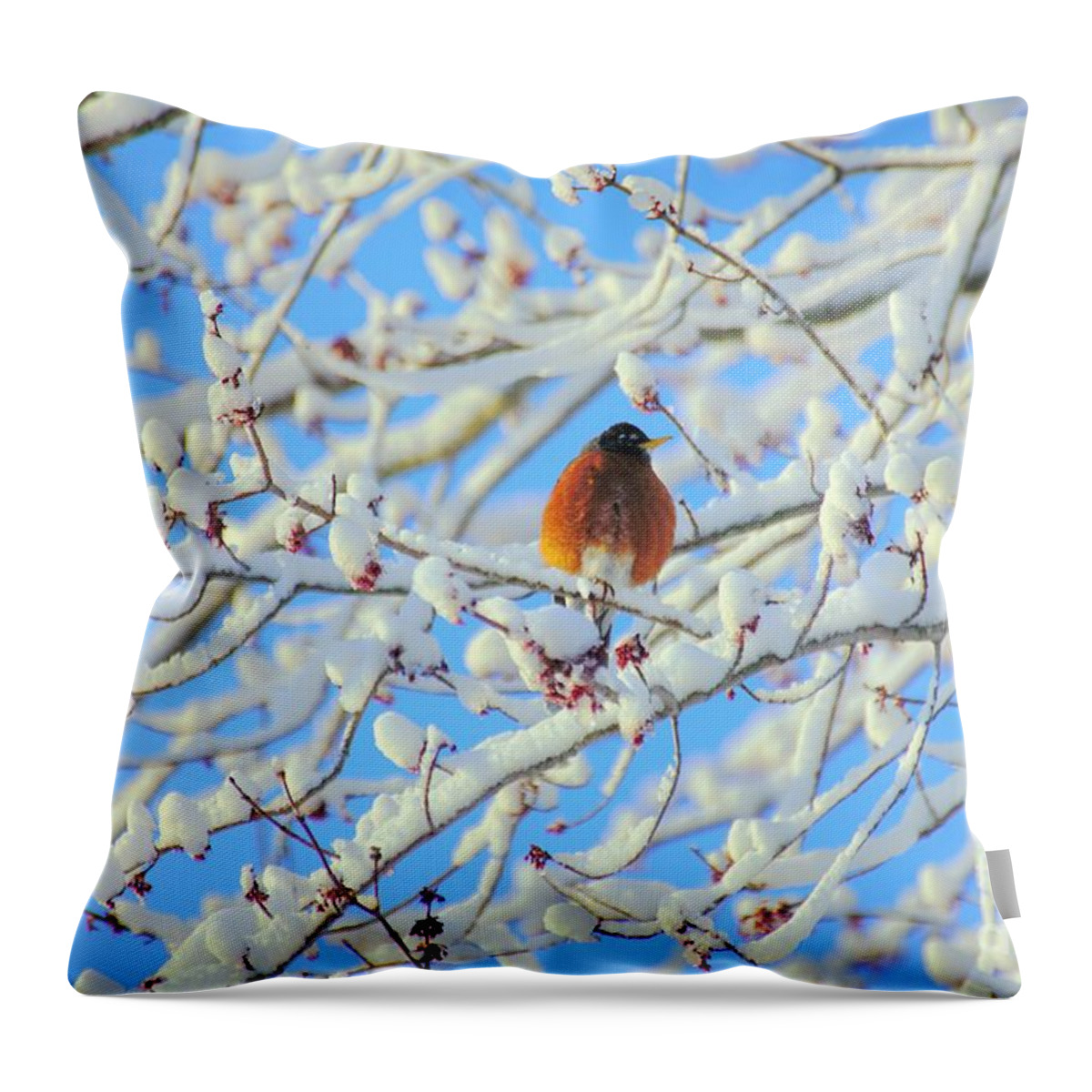 Winter Throw Pillow featuring the photograph Spring's on the Way by Merle Grenz