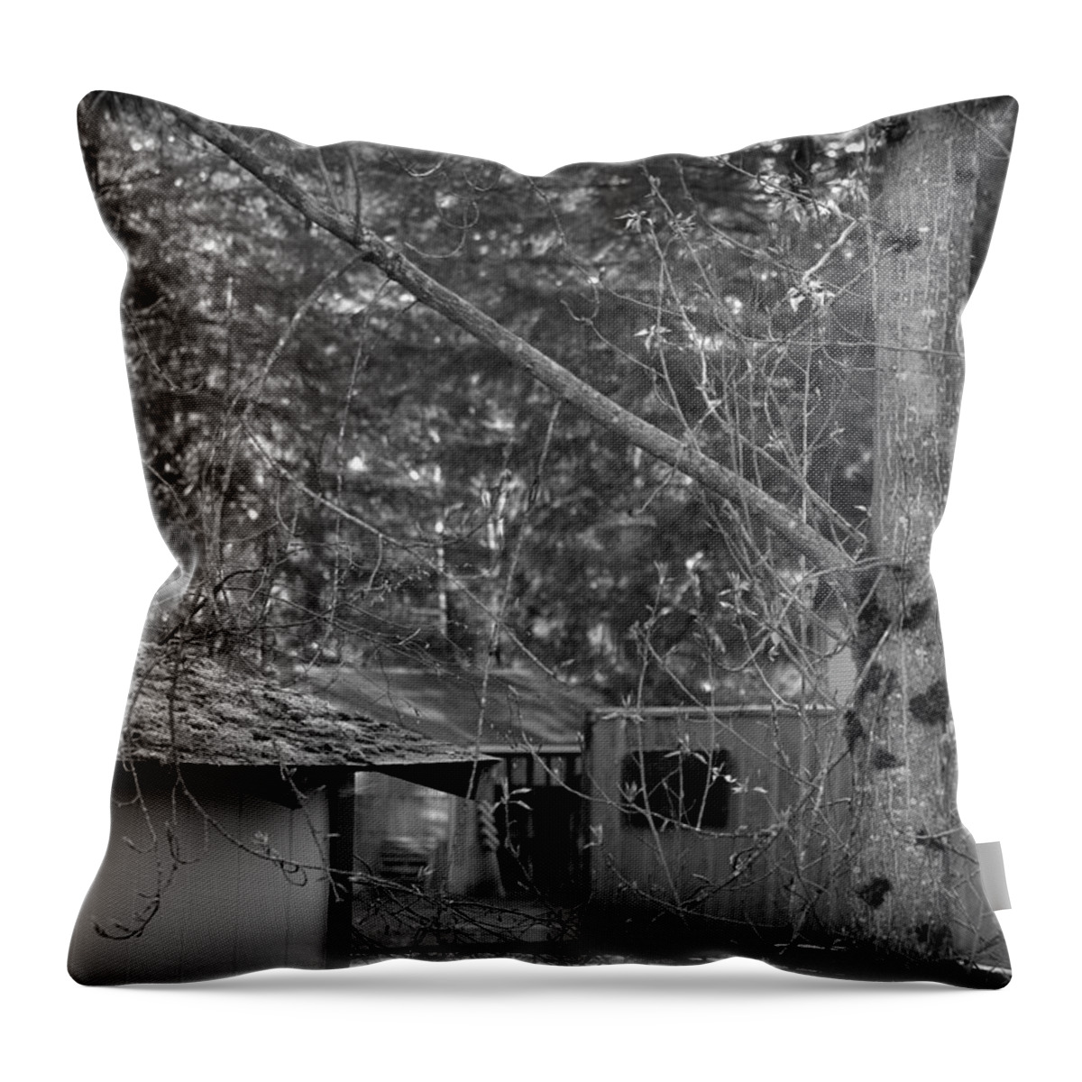 Serenity Throw Pillow featuring the photograph Springtime In Black And White by Jeanette C Landstrom