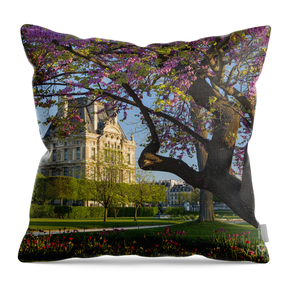 Paris Throw Pillow featuring the photograph Springtime in Paris by Brian Jannsen