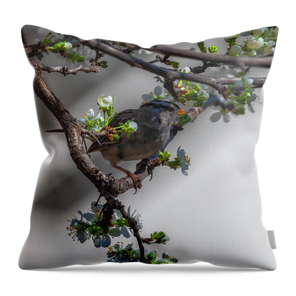 Nature Throw Pillow featuring the photograph Springtime by Jonathan Nguyen