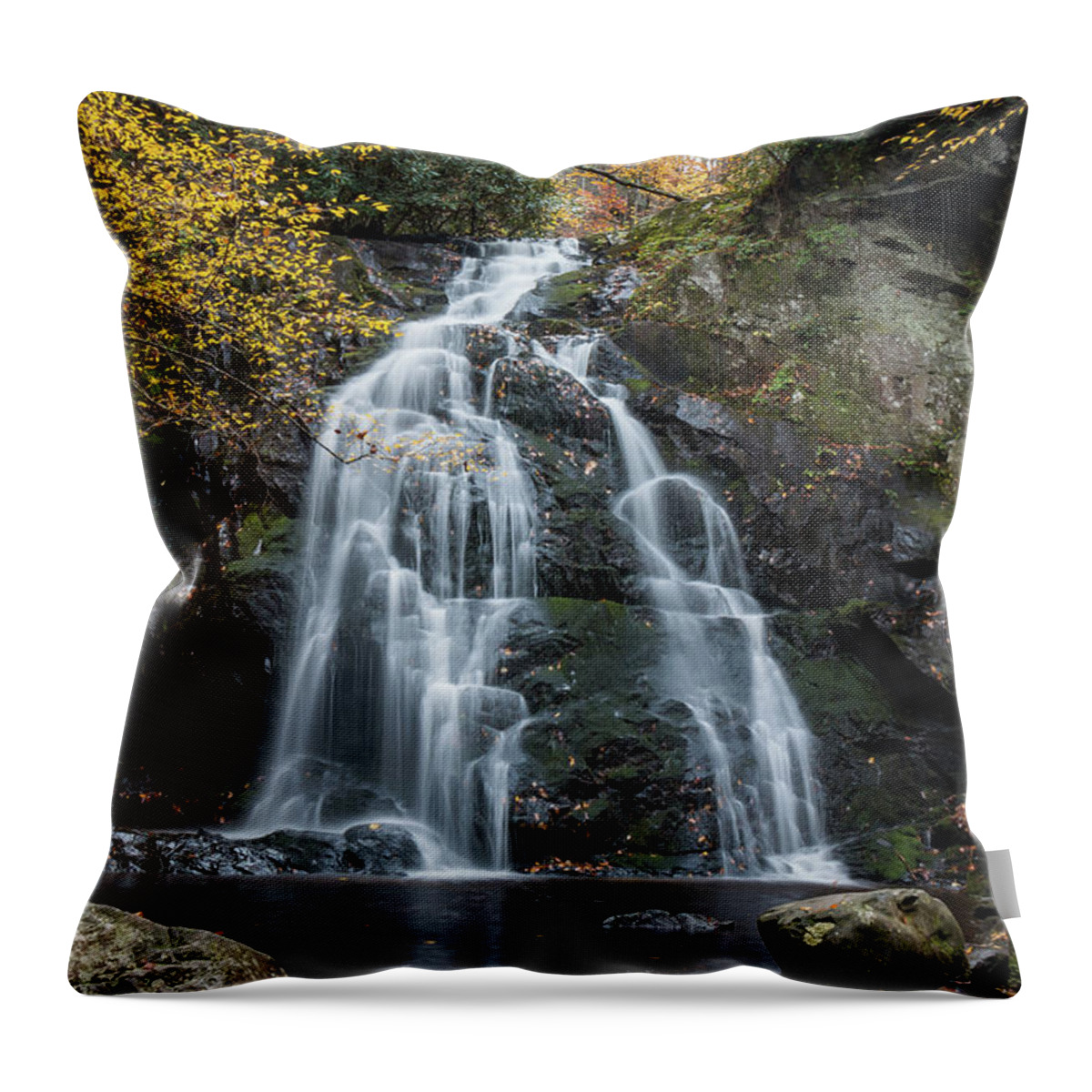 Spruce Flats Falls Throw Pillow featuring the photograph Spruce Flats Falls by Chris Berrier