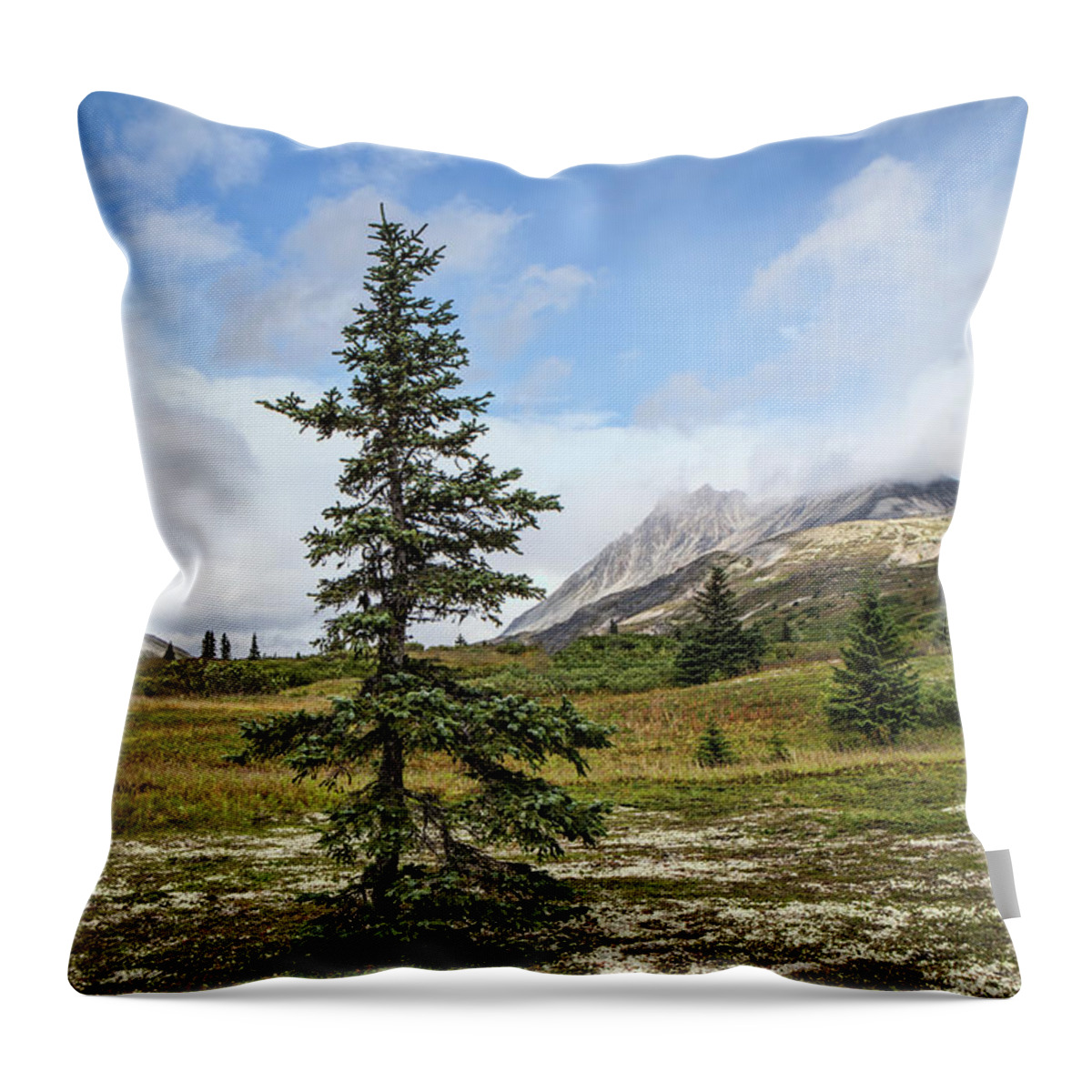 B.c. Throw Pillow featuring the photograph Spruce tree in summer by Michele Cornelius