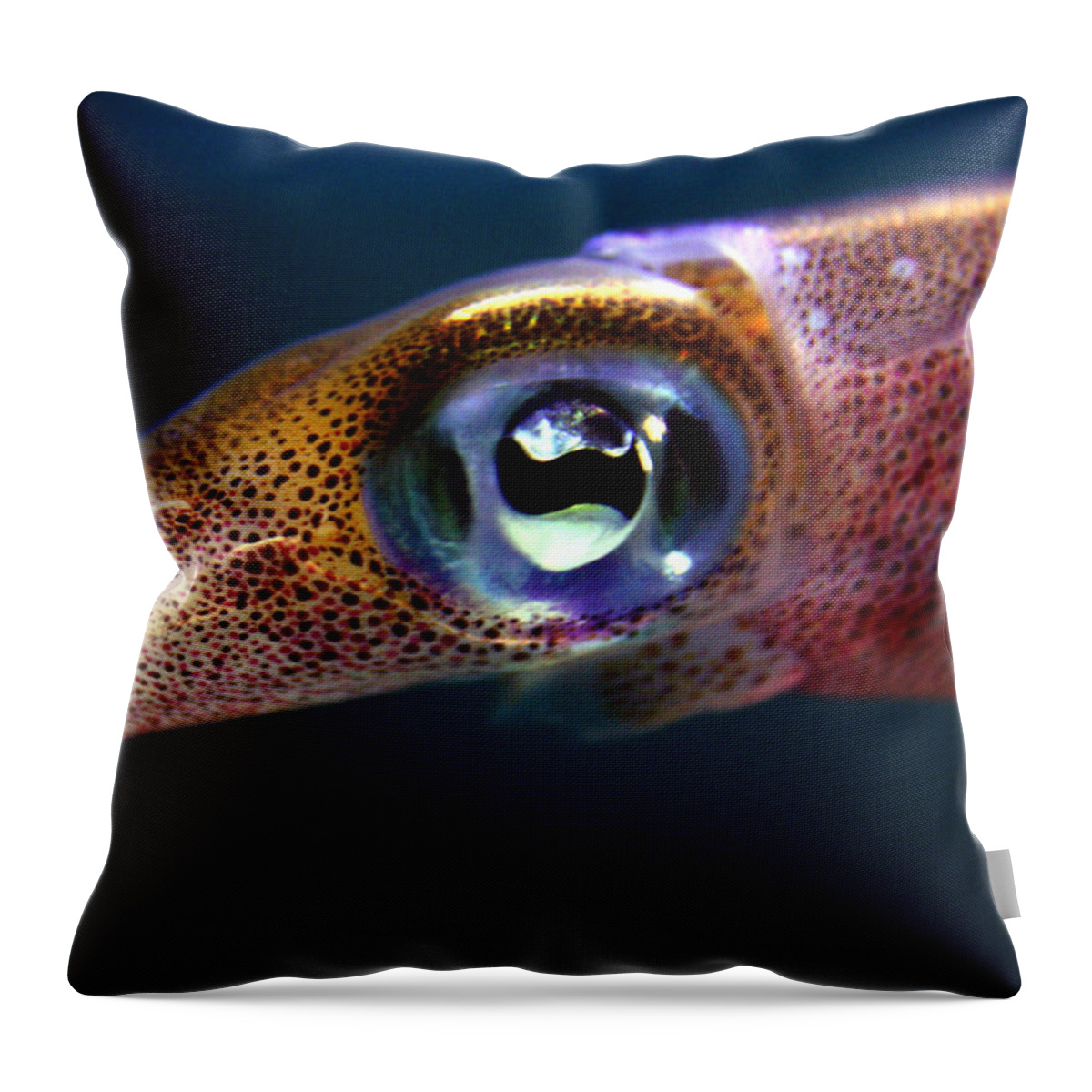 Waikiki Aquarium Throw Pillow featuring the photograph Squid Eye by Jennifer Bright Burr