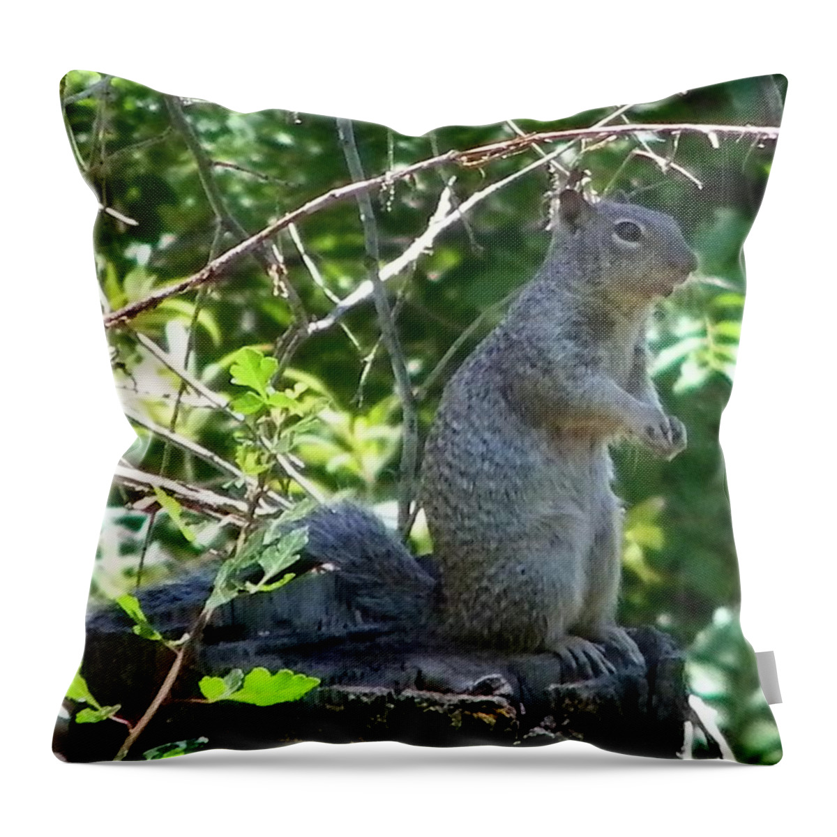 Squirel Throw Pillow featuring the photograph Squirel by Tina Barnash