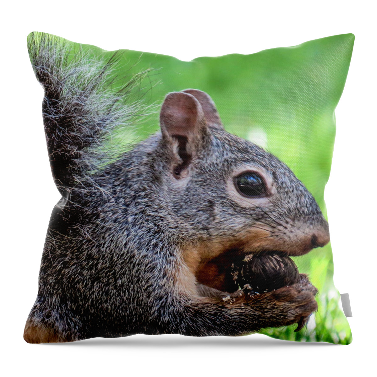 Outdoors Throw Pillow featuring the photograph Squirrel 1 by Christy Garavetto