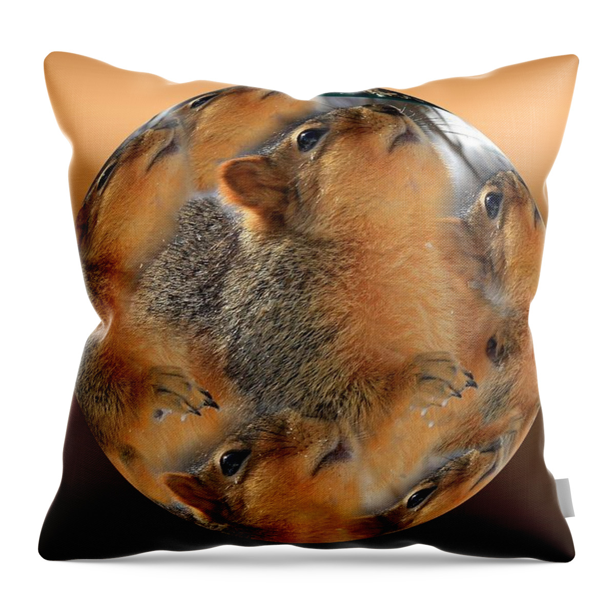 Squirrel Throw Pillow featuring the photograph Squirrel in a Ball by Rick Rauzi