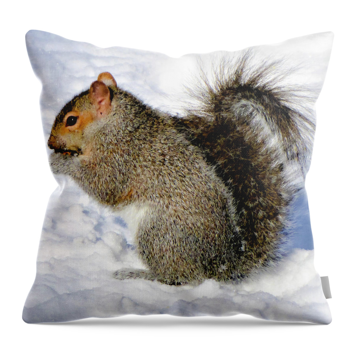 Squirrel Throw Pillow featuring the photograph Squirrel in Winter by Cristina Stefan