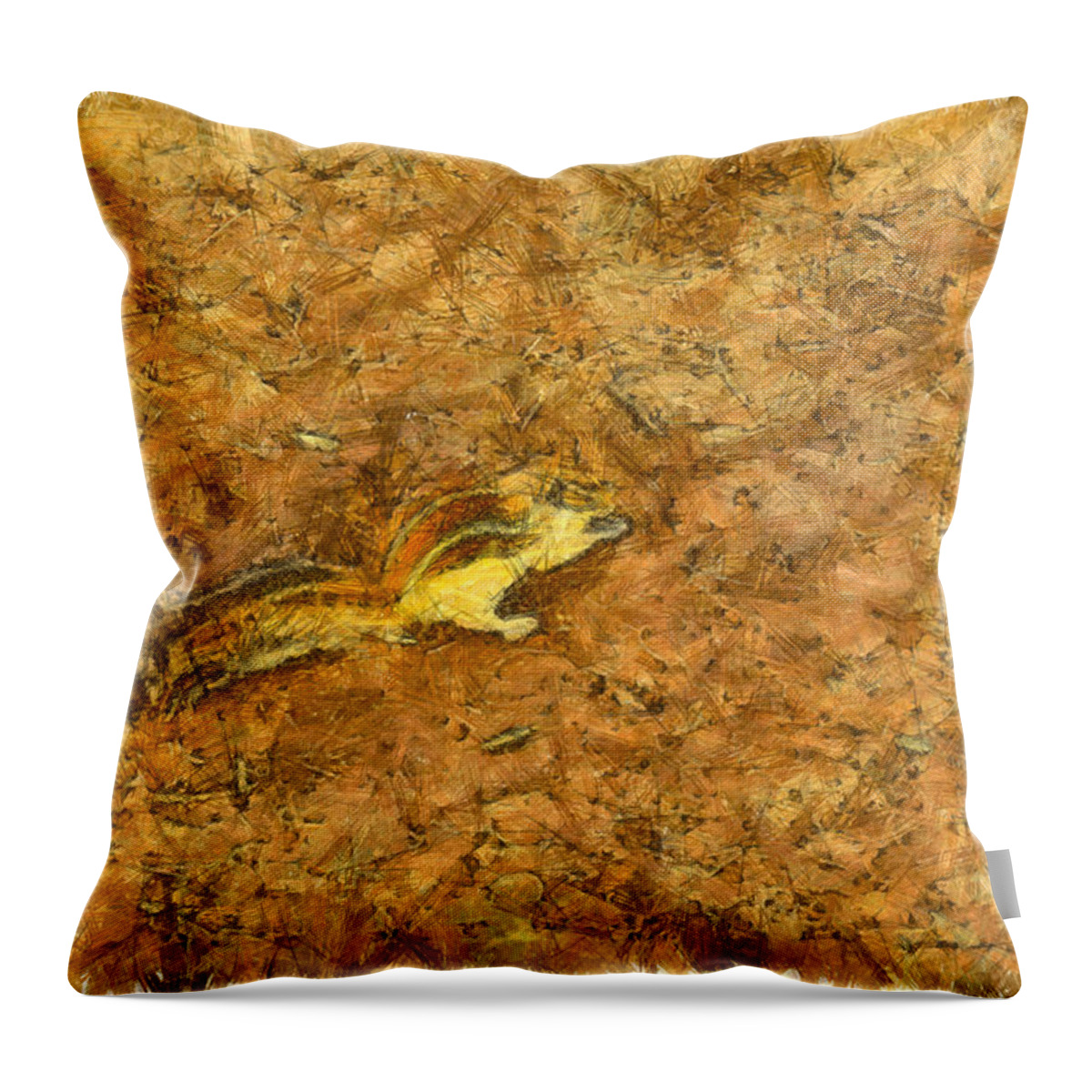 Squirrel Throw Pillow featuring the photograph Squirrel on the ground by Ashish Agarwal