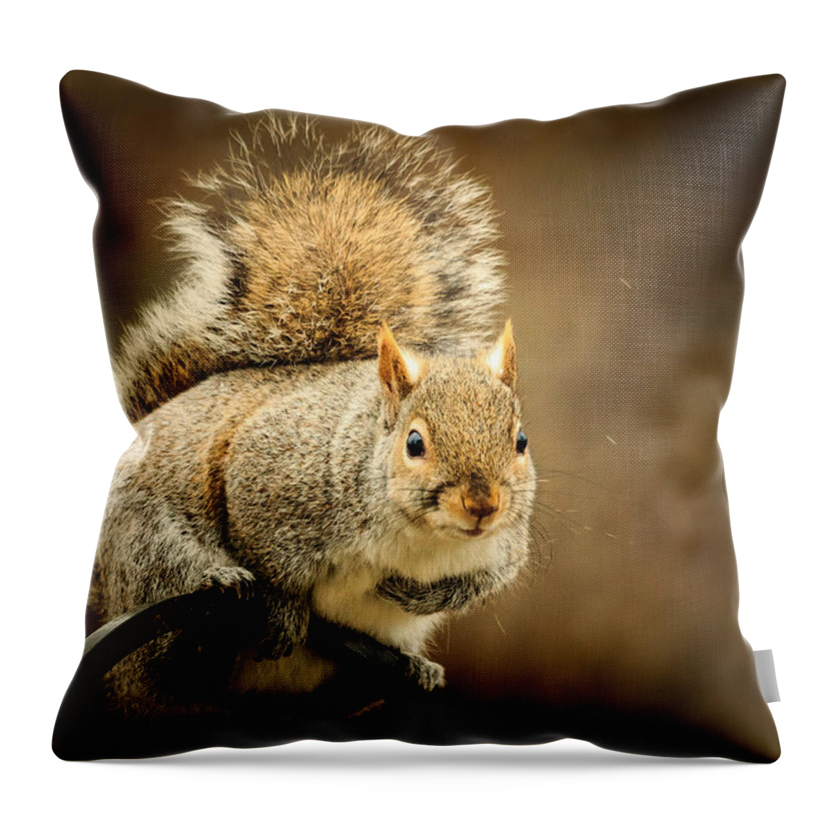 Backyard Throw Pillow featuring the photograph Squirrel Perch by Joni Eskridge