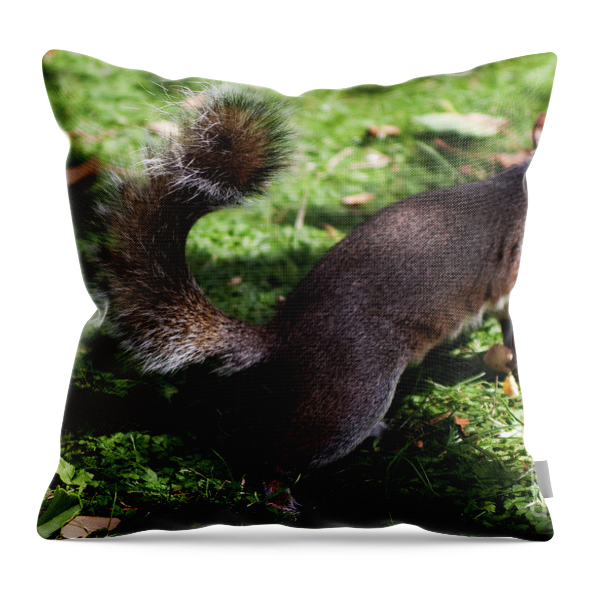 Squirrel Throw Pillow featuring the photograph Squirrel running by Agusti Pardo Rossello