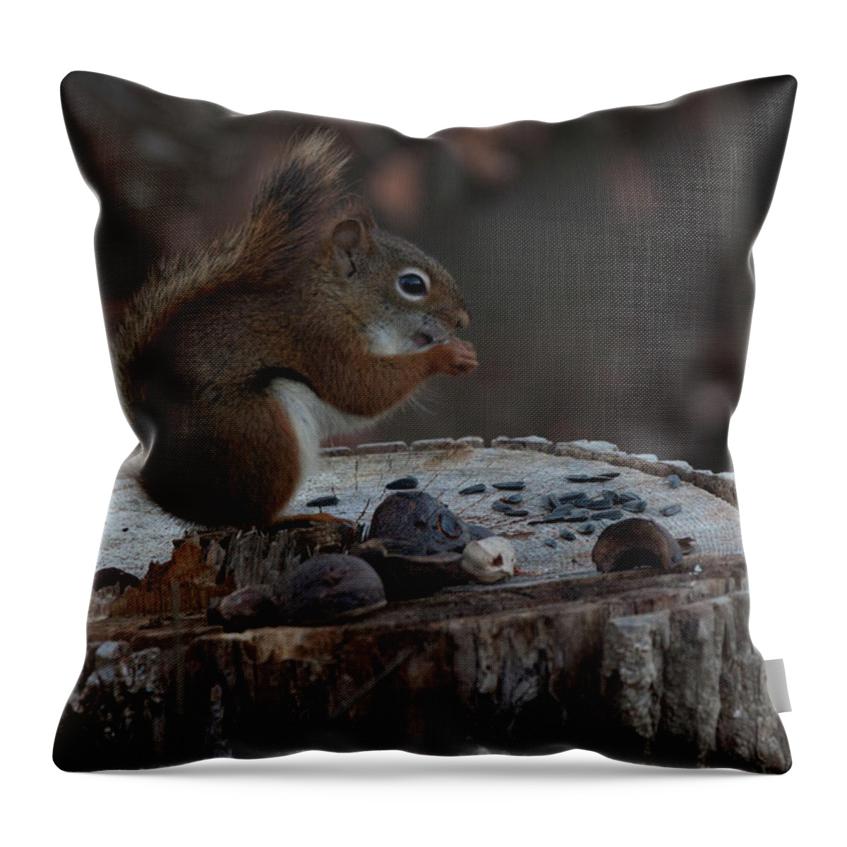 Gray Squirrel Throw Pillow featuring the photograph Squirrel stocking up for winter by Jeff Folger