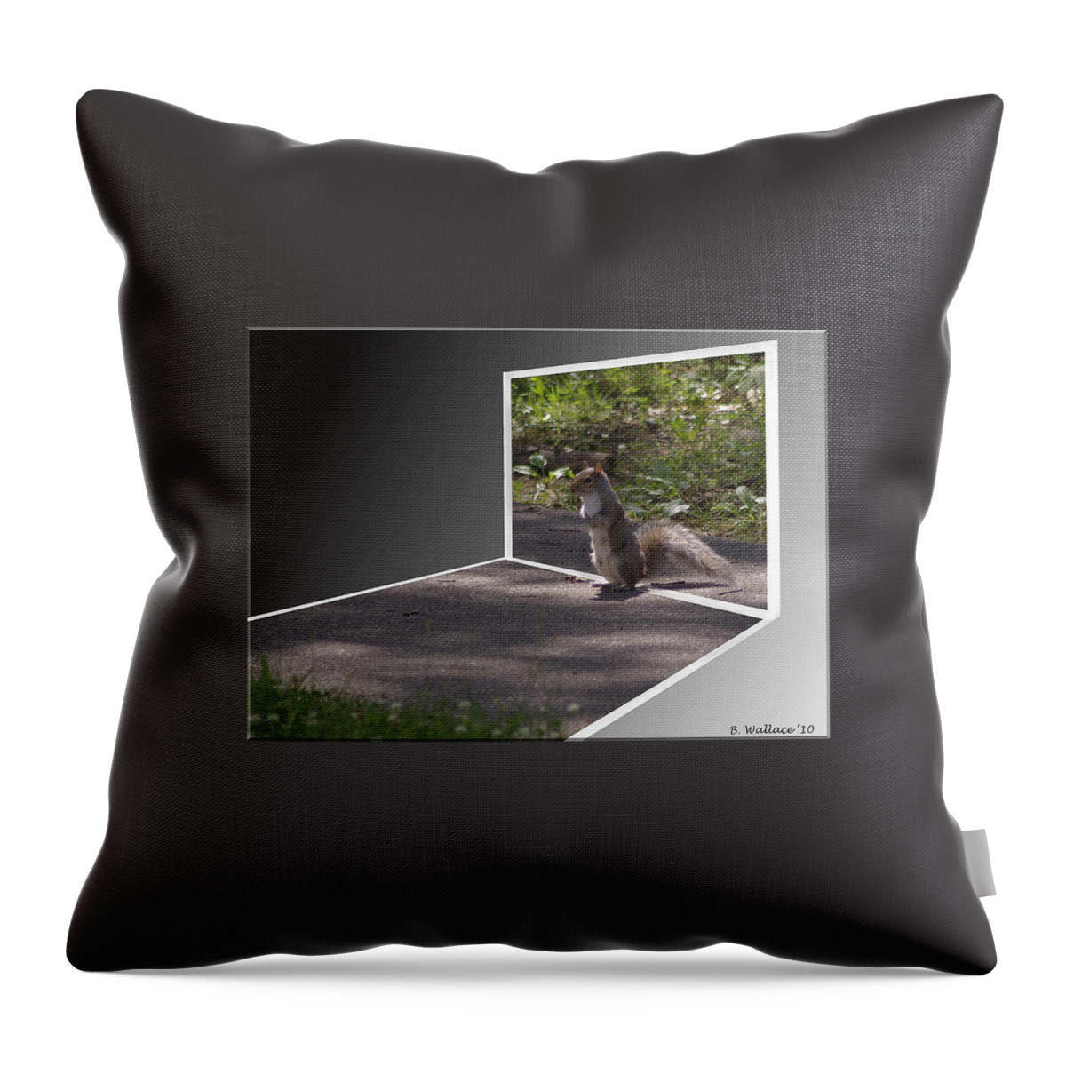 2d Throw Pillow featuring the photograph Squirrel World by Brian Wallace