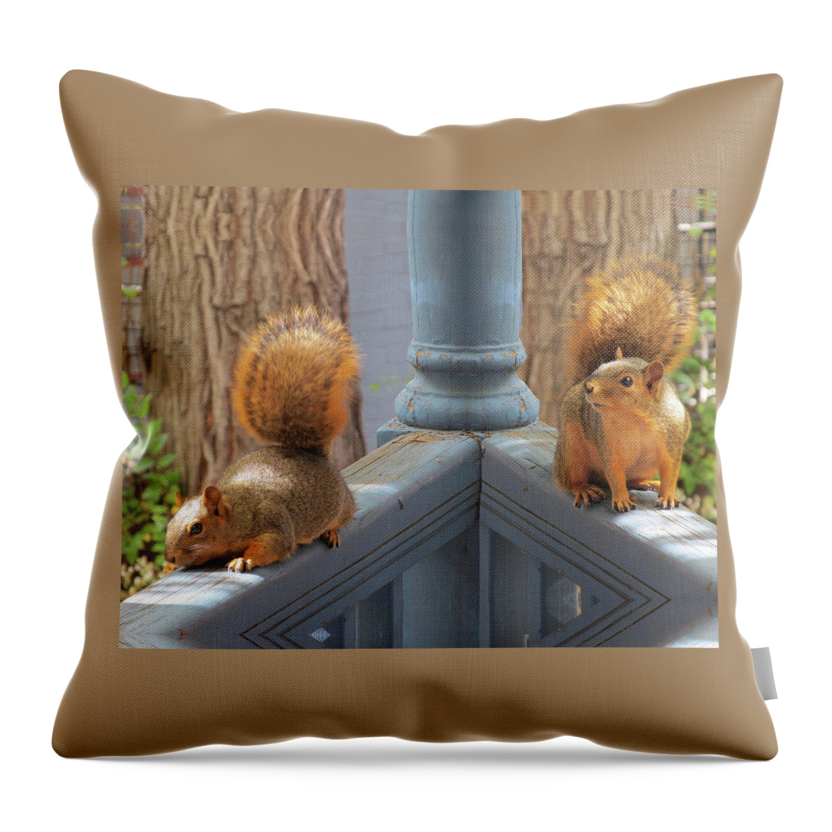 Squirrels Throw Pillow featuring the digital art Squirrels Balancing on a Railing by Julia L Wright