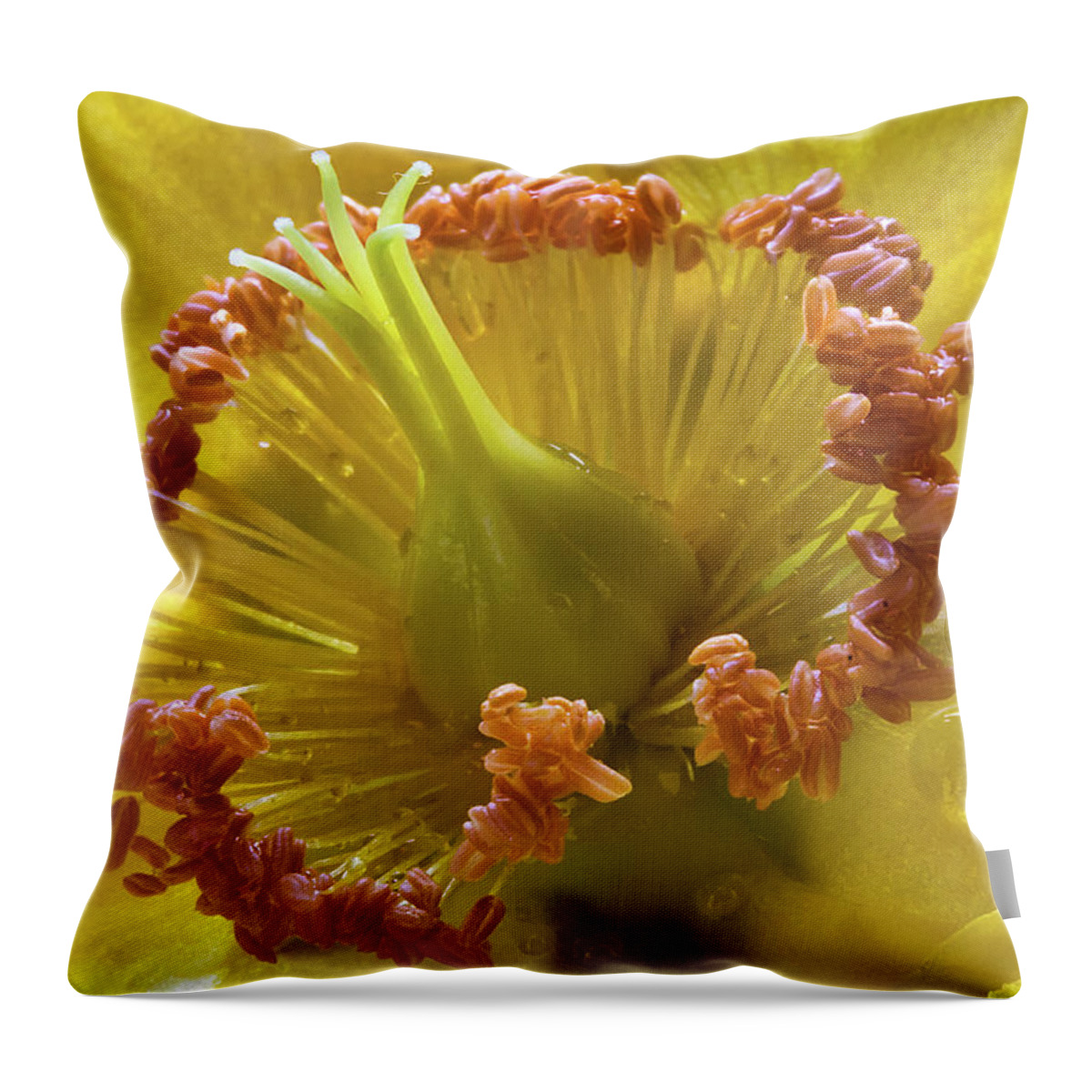 Wort Throw Pillow featuring the photograph St Johns Wort Flower Centre by Shirley Mitchell