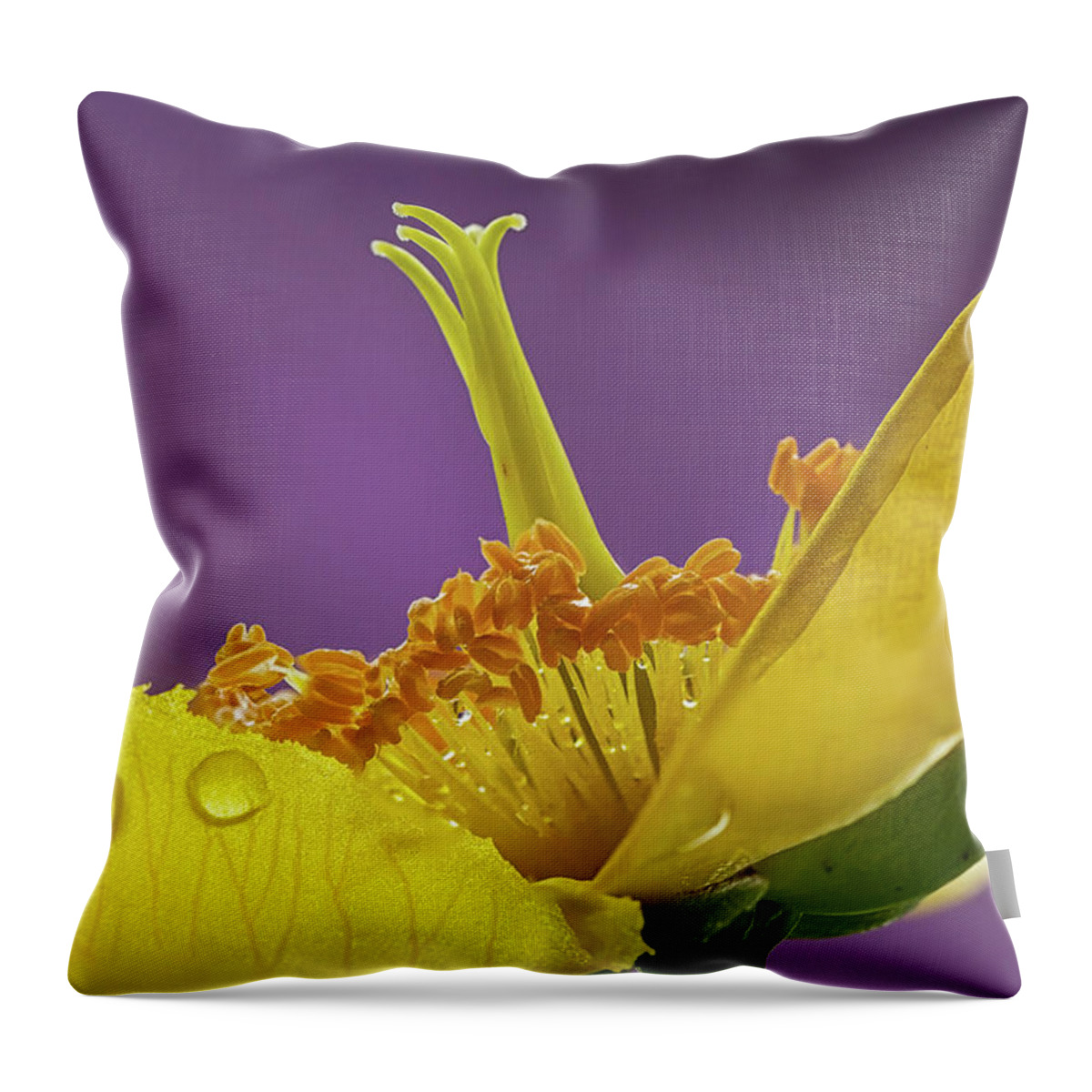 Wort Throw Pillow featuring the photograph St Johns Wort Flower by Shirley Mitchell