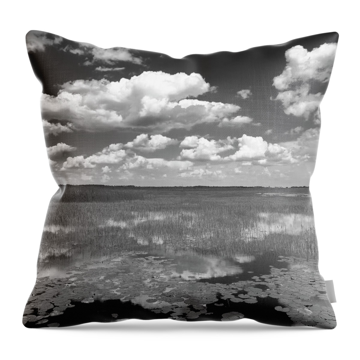 Florida Throw Pillow featuring the photograph St. Mark's Marsh by Bill Chambers