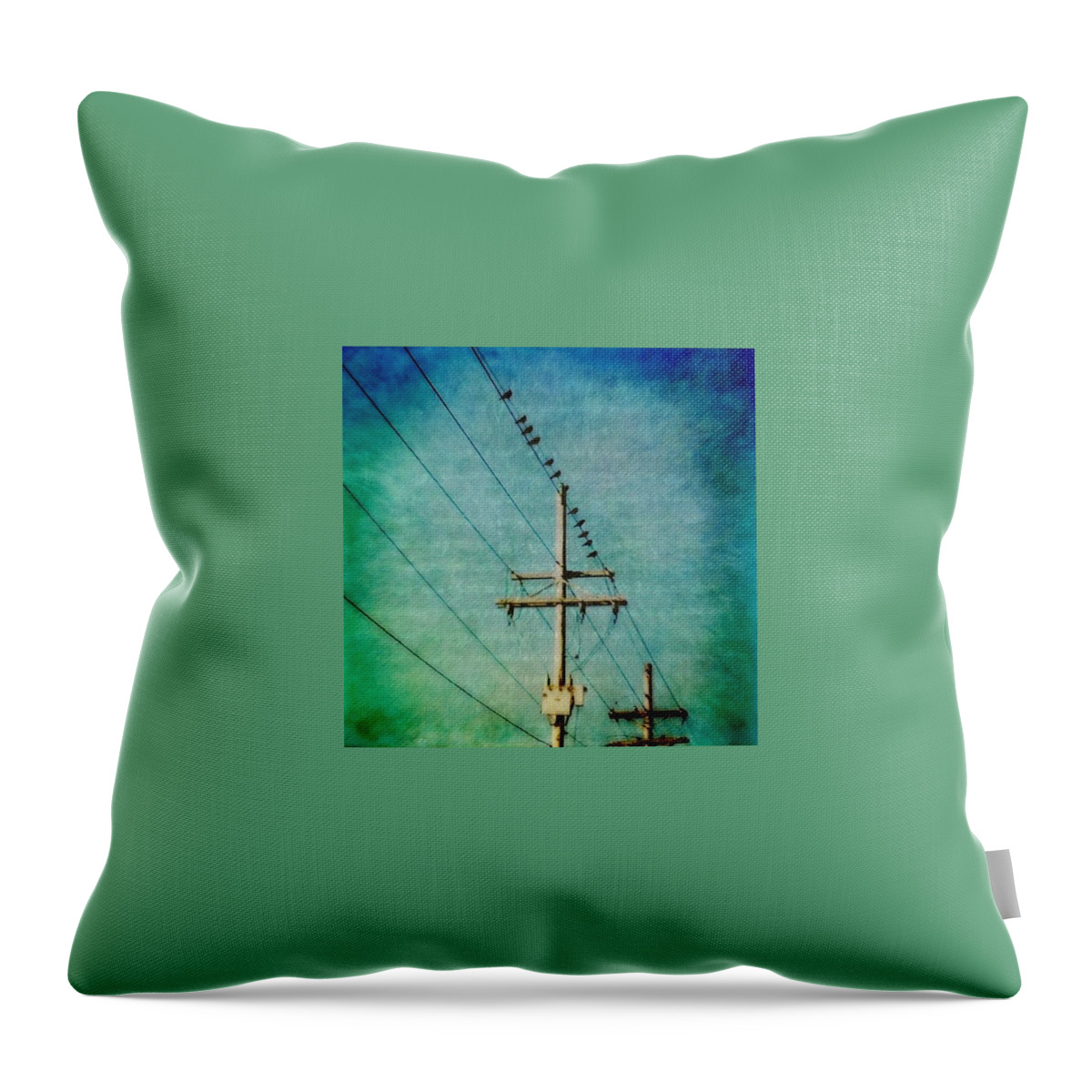 Birdsonaline Throw Pillow featuring the photograph Birds on a Line by Joan McCool