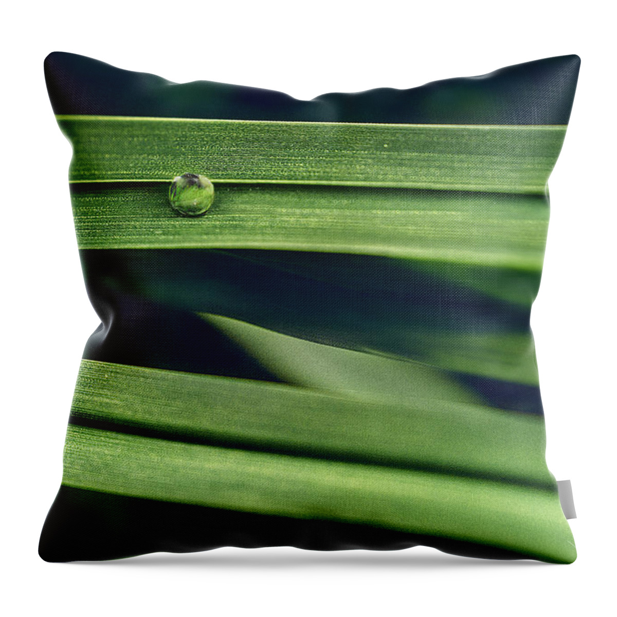 Landscape Throw Pillow featuring the photograph Stacked by Gene Garnace