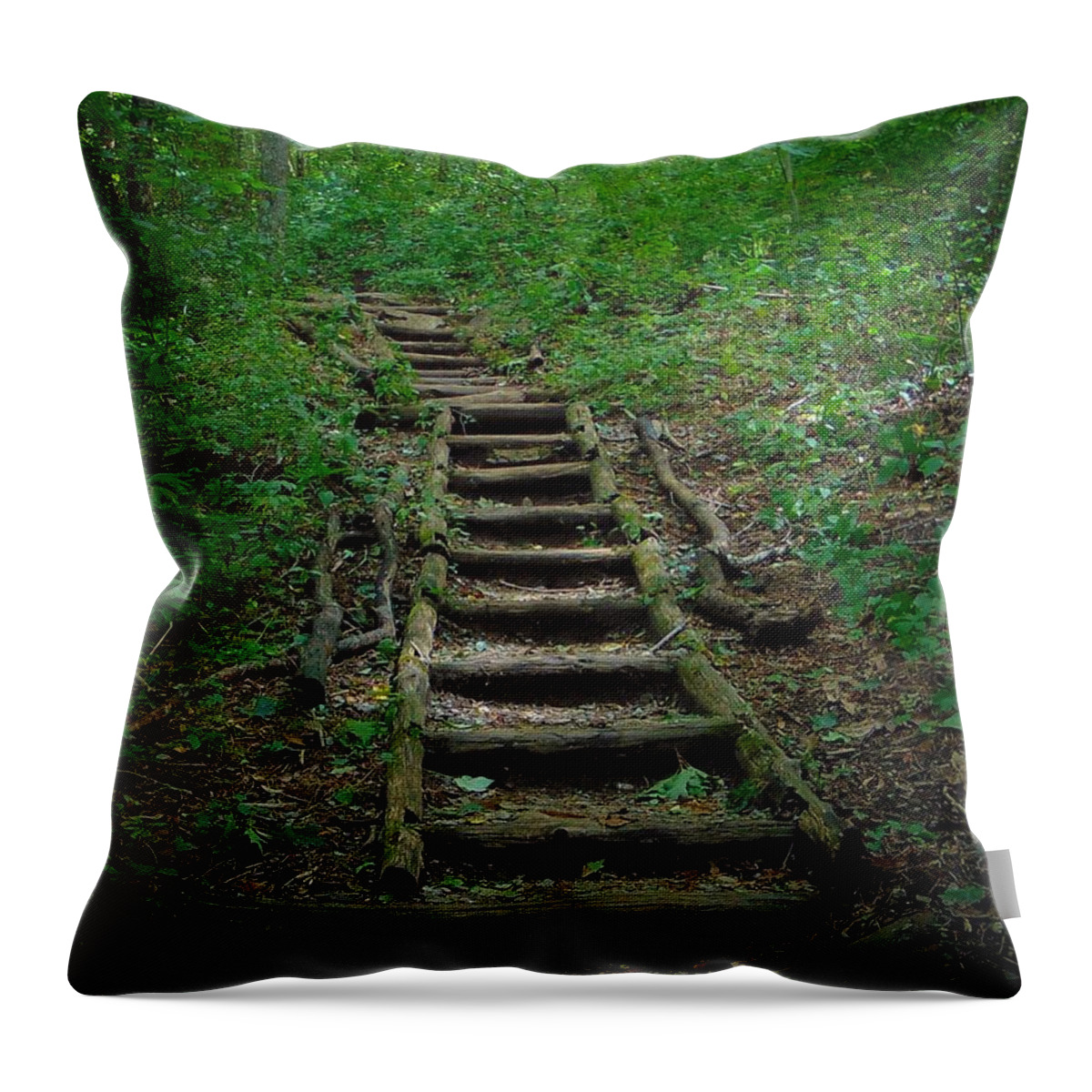 Trails Throw Pillow featuring the photograph Stairway at Unicoi Gap on the AT by Richie Parks