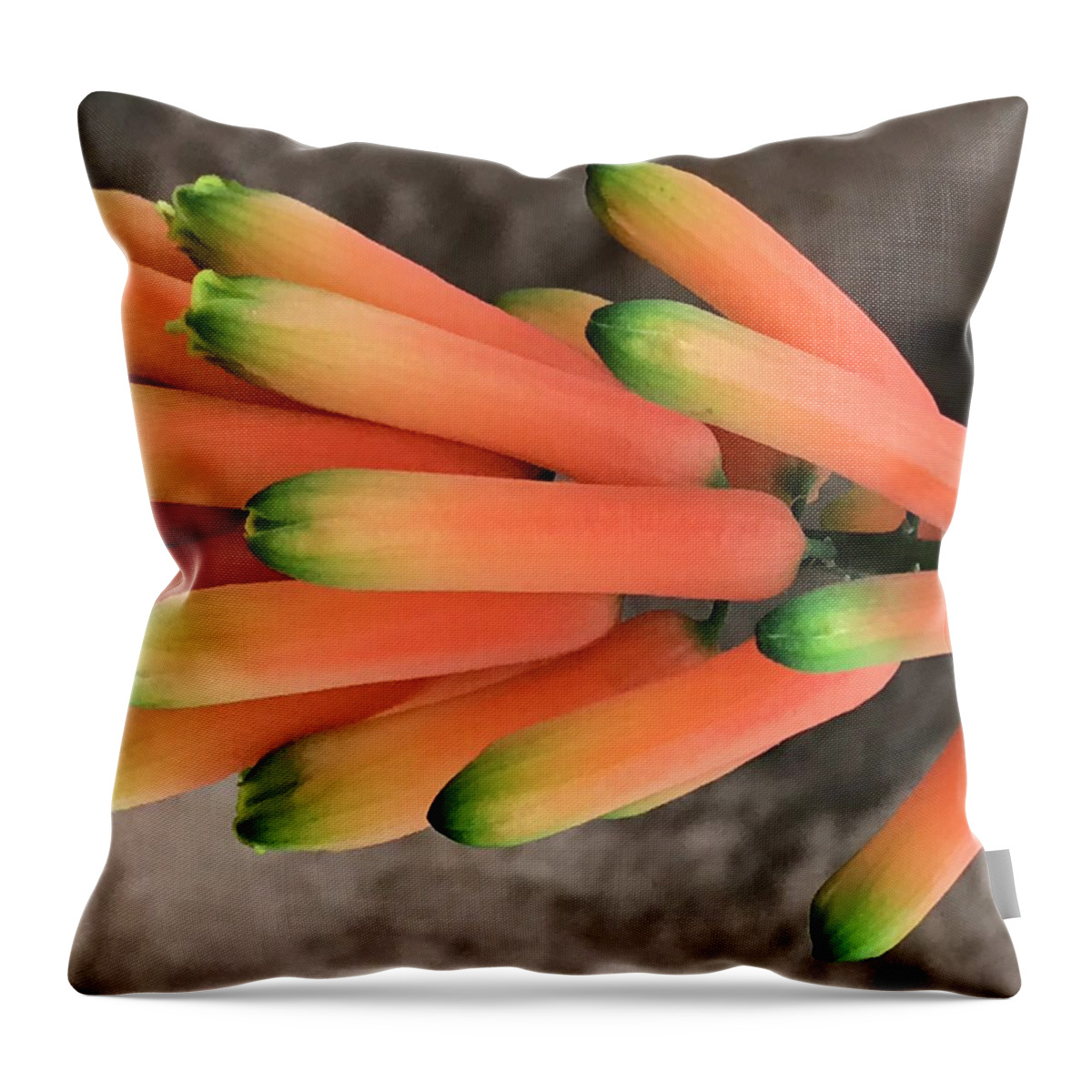 Flowers Throw Pillow featuring the photograph Stalks 3 by Jean Wolfrum