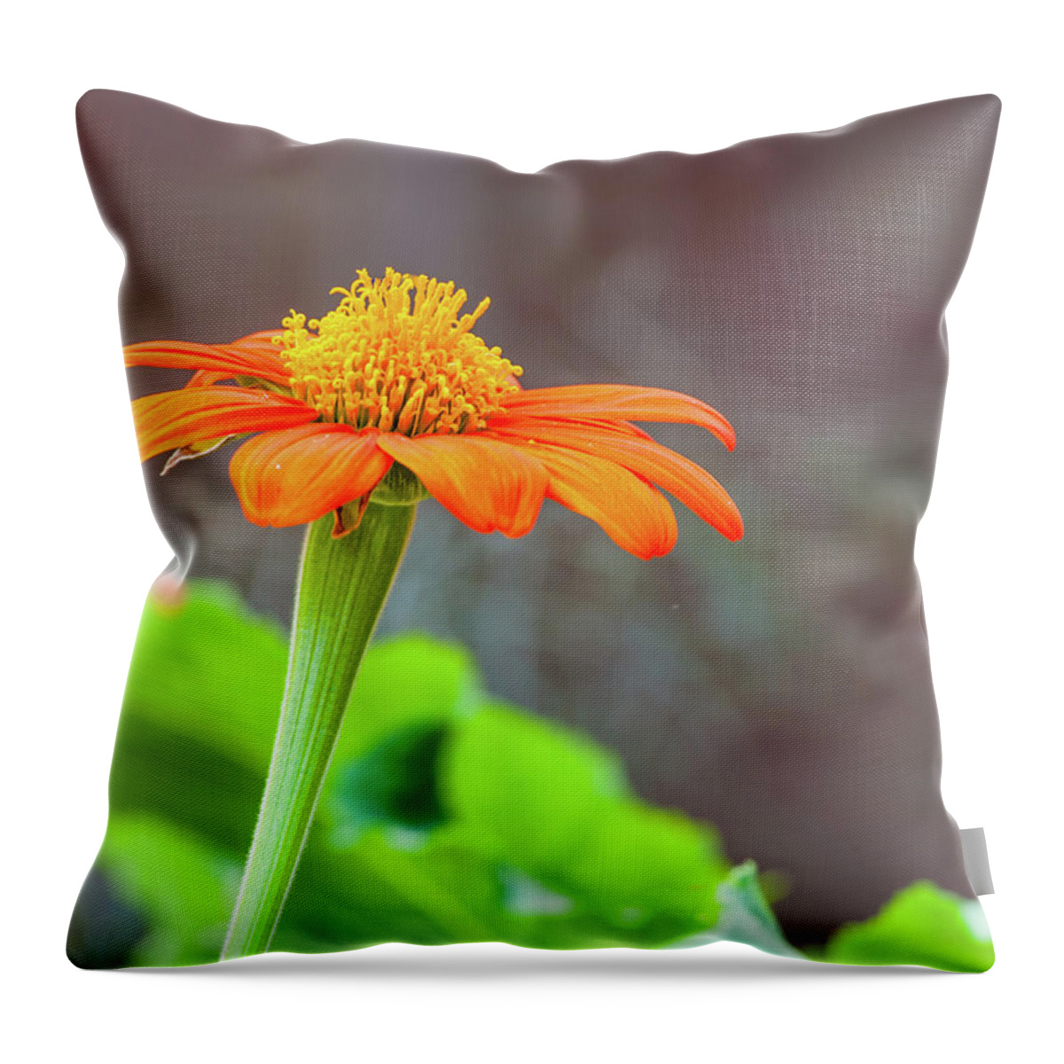 Flower Throw Pillow featuring the photograph Stand Alone by Charles McCleanon