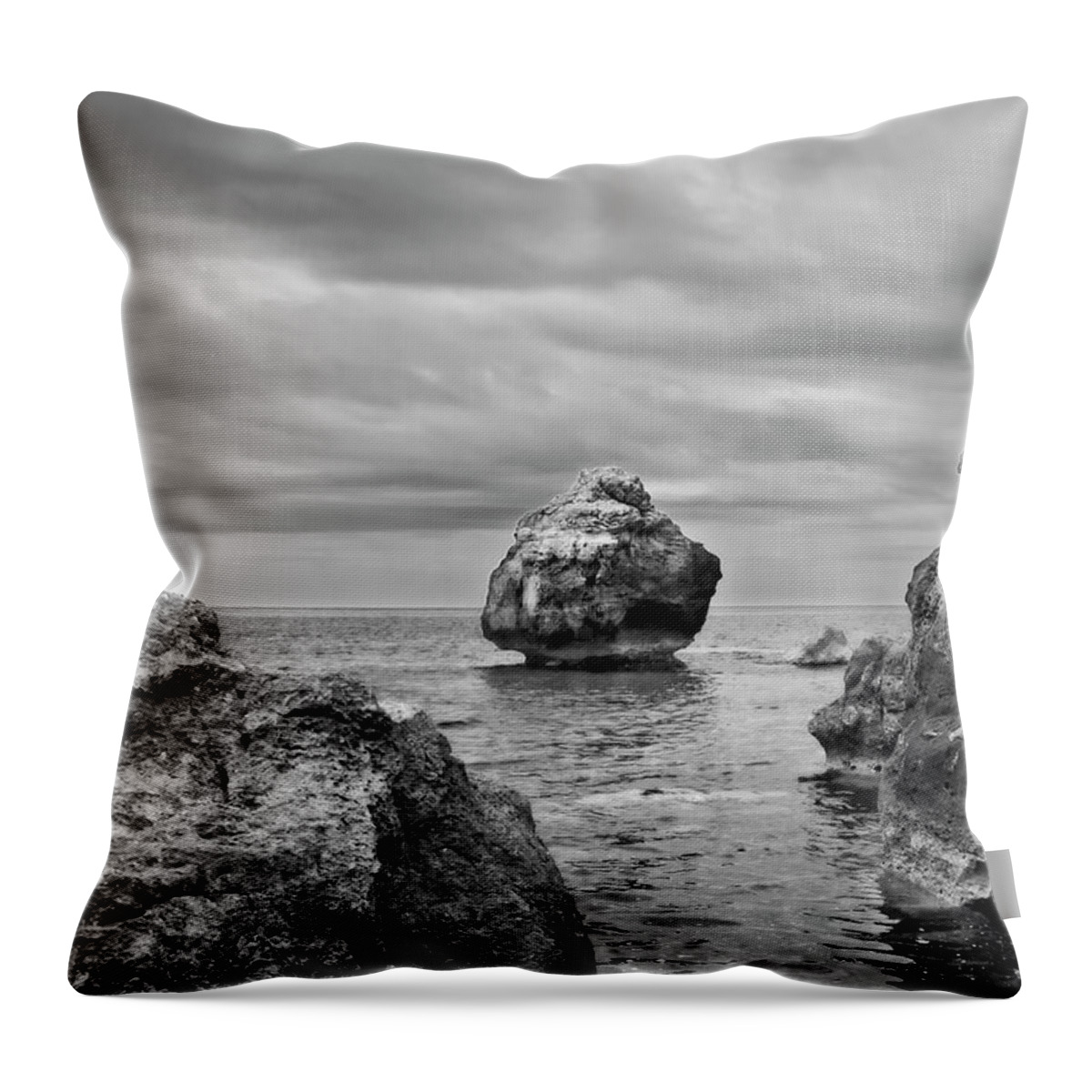 Photo Throw Pillow featuring the photograph Standing Against Elements By Pedro Cardona by Pedro Cardona Llambias