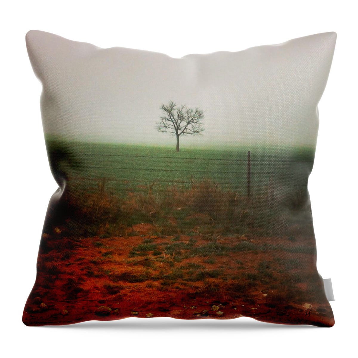 Nature Throw Pillow featuring the photograph Standing alone, a lone tree in the fog. by Shelli Fitzpatrick