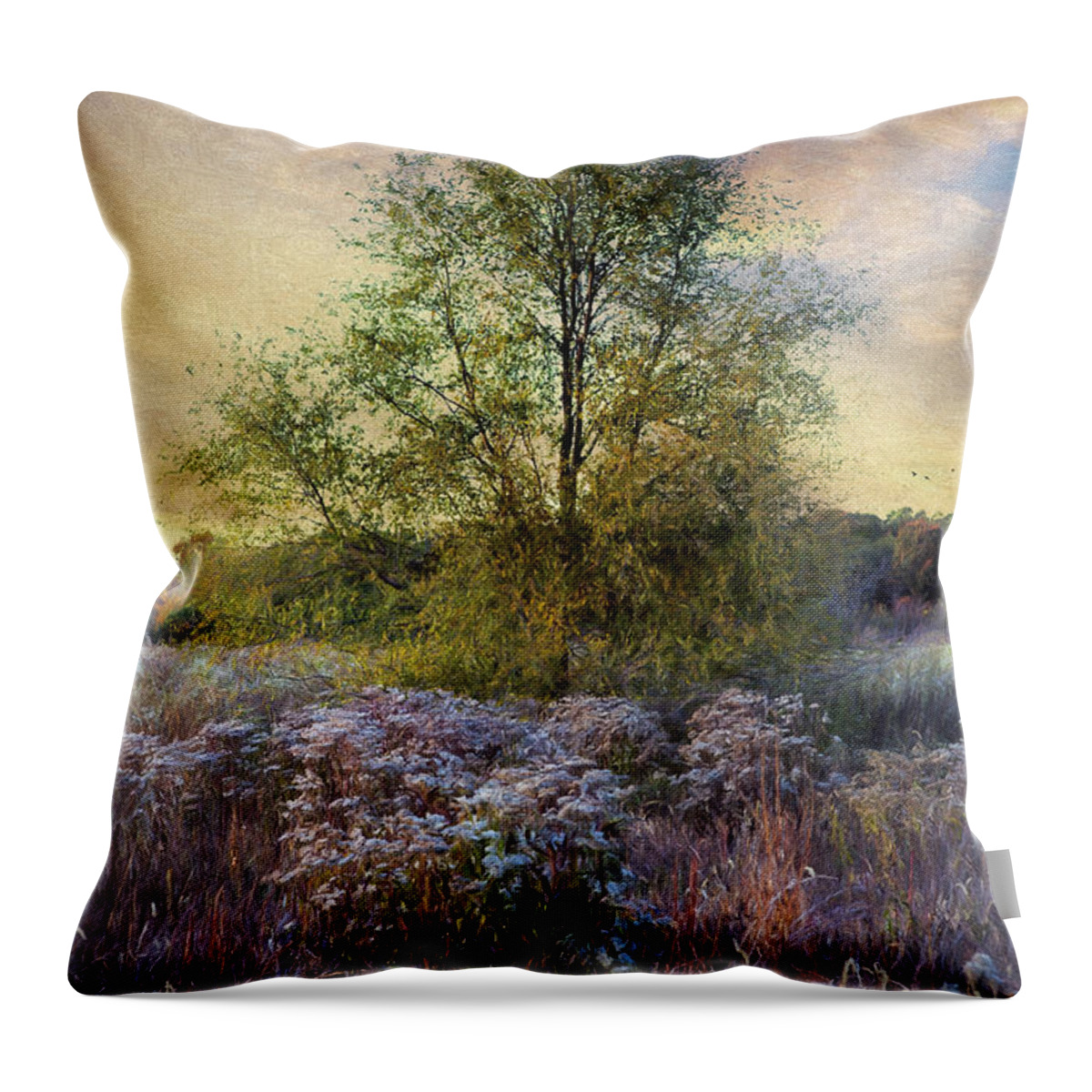 Tree Throw Pillow featuring the photograph Standing Alone by John Rivera