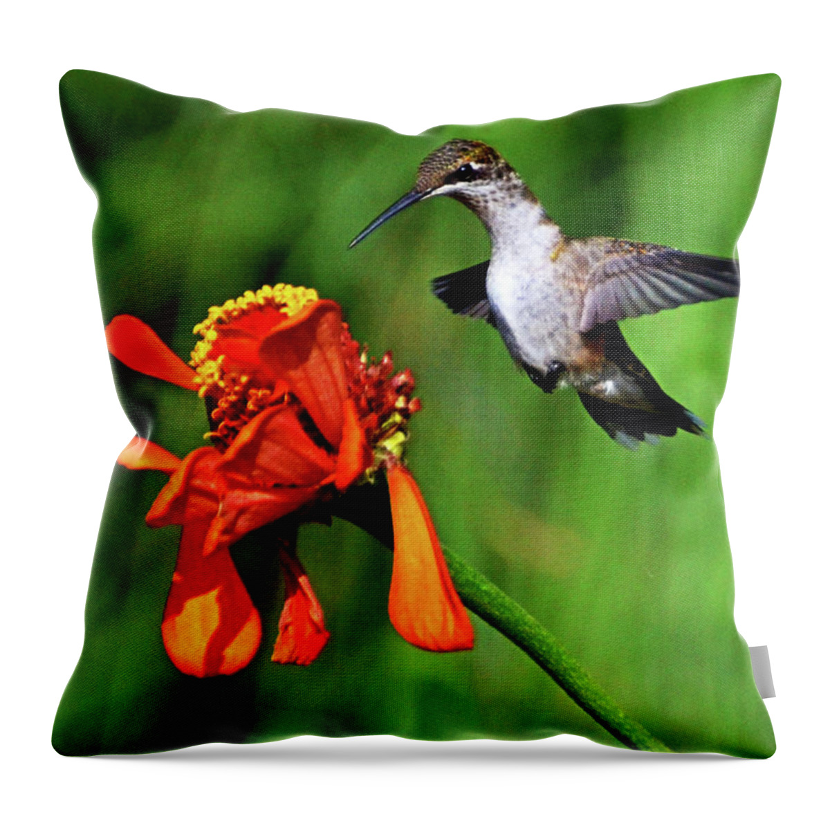 Bird Throw Pillow featuring the photograph Standing In Motion - Hummingbird In Flight 013 by George Bostian
