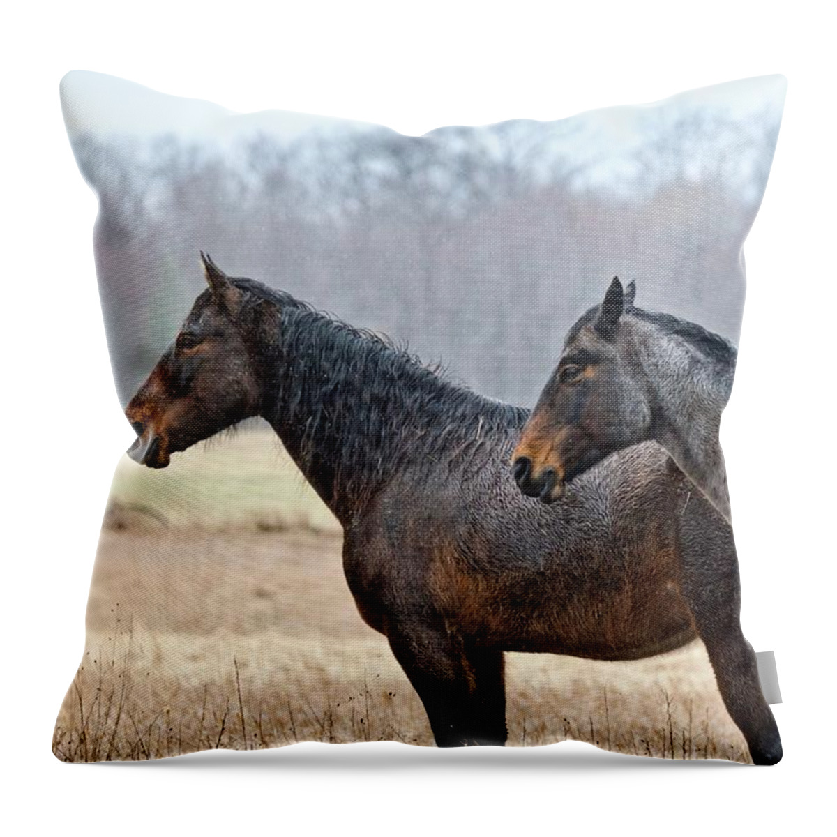 Horse Throw Pillow featuring the photograph Standing in the Rain 1281 by Michael Peychich