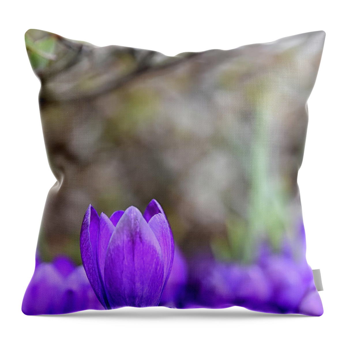 Crocus Throw Pillow featuring the photograph Standing out from the Crowd by Kuni Photography