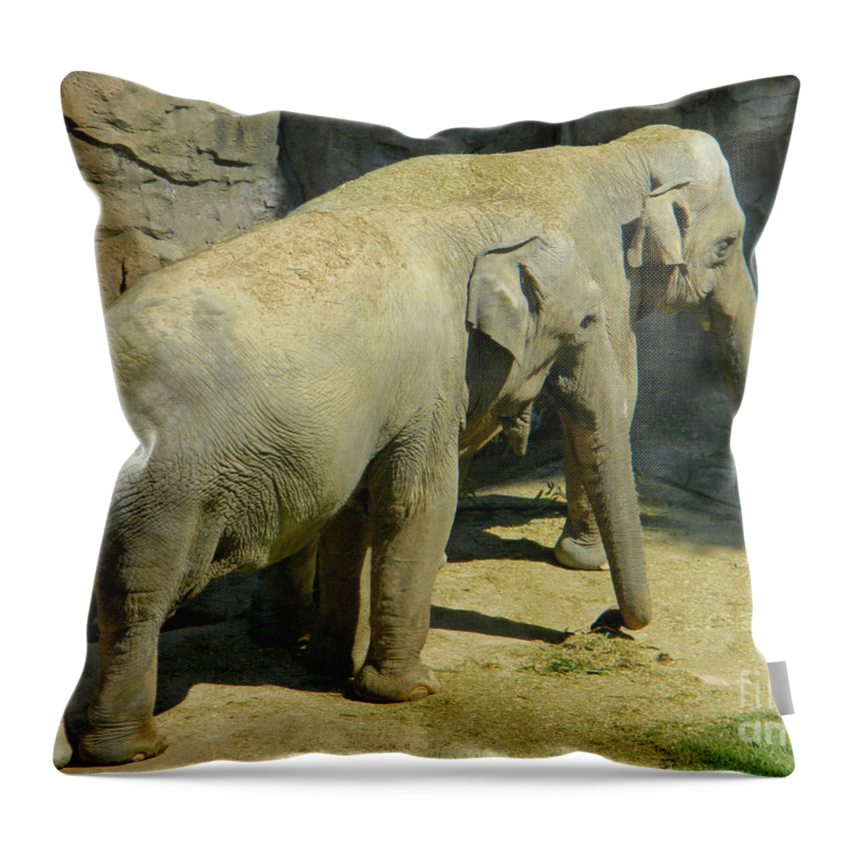 Standing Side By Side Throw Pillow featuring the photograph Standing Side By Side by Emmy Vickers