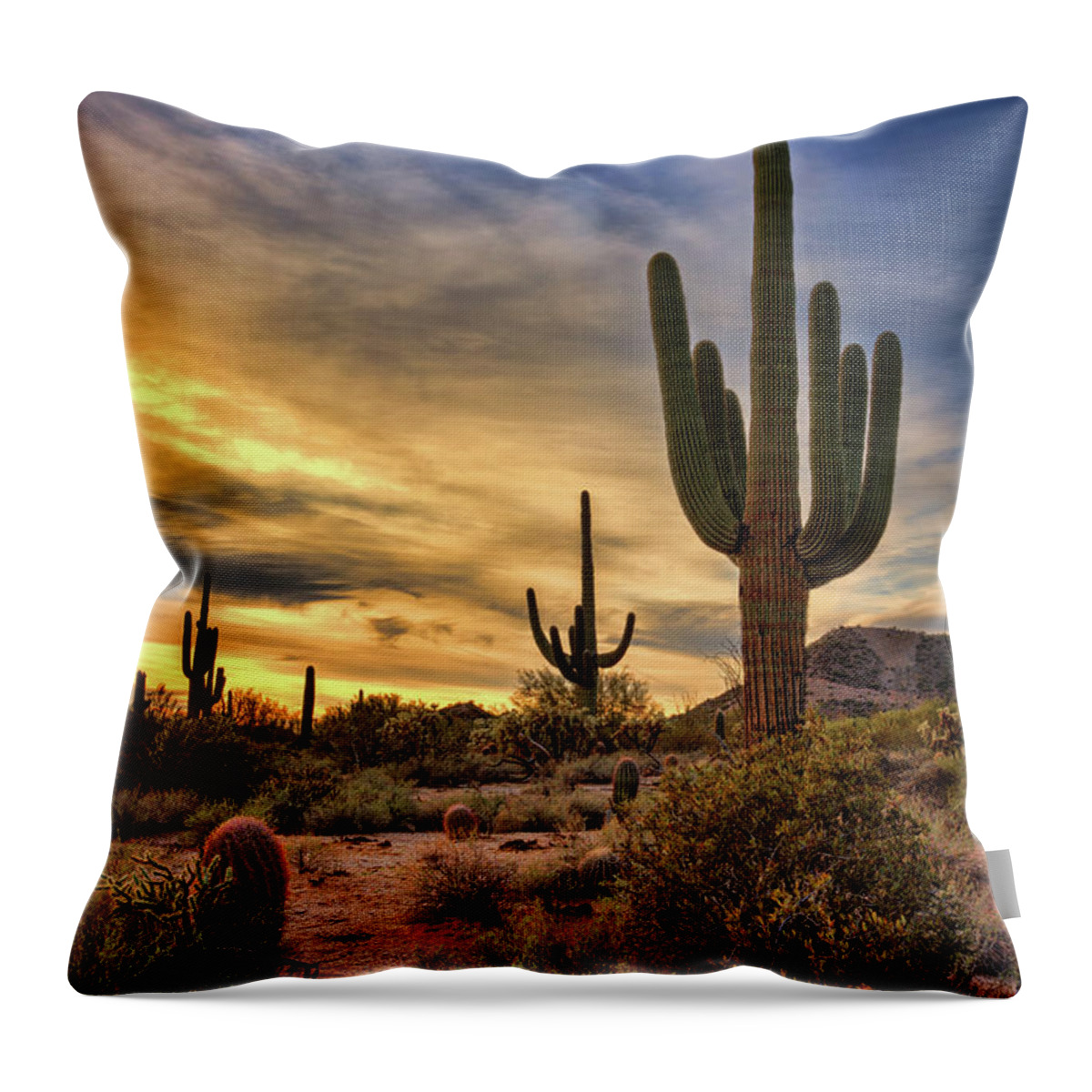 Saguaro Sunset Throw Pillow featuring the photograph Standing Tall At Sunset by Saija Lehtonen