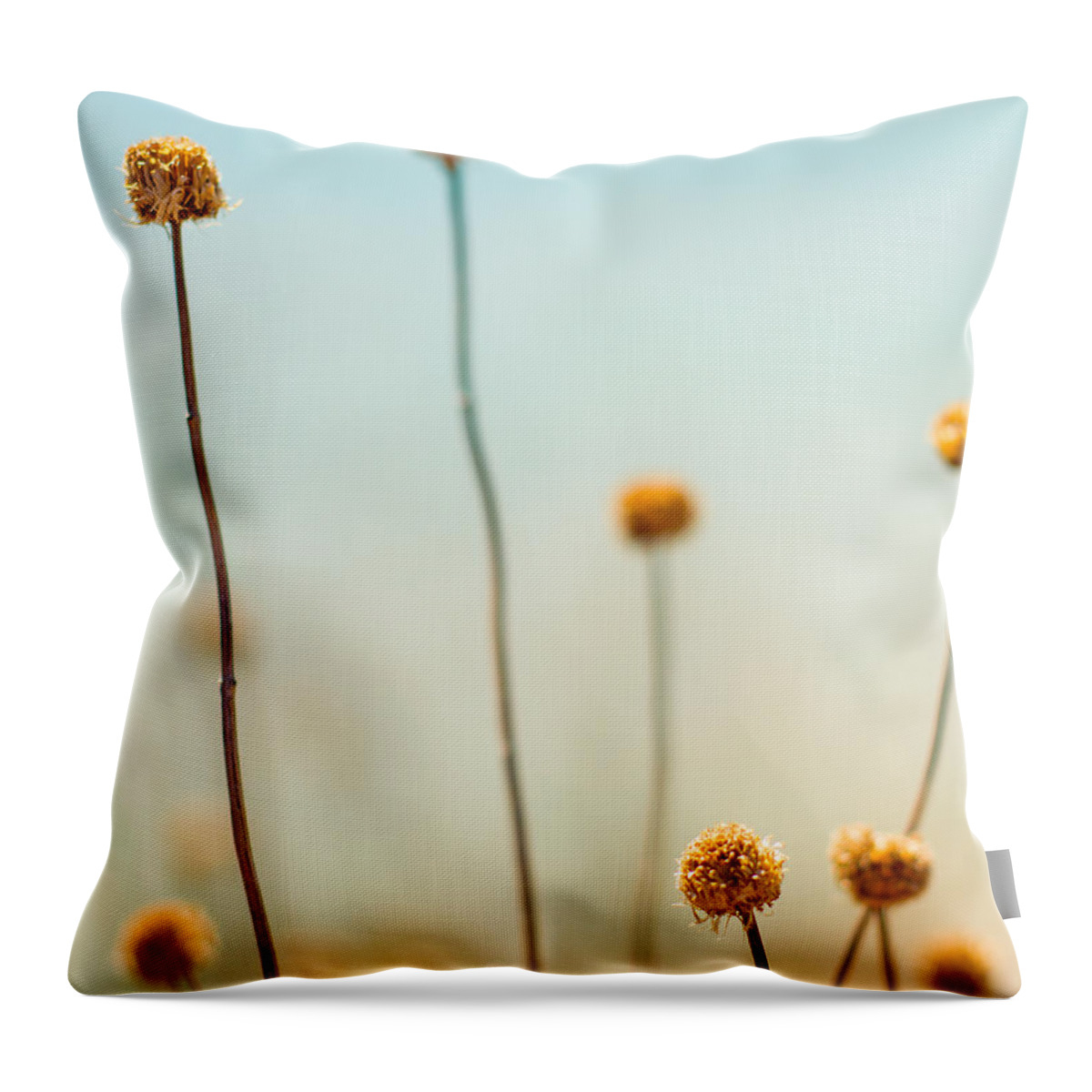 Simple Throw Pillow featuring the photograph Standing Tall by James Meyer