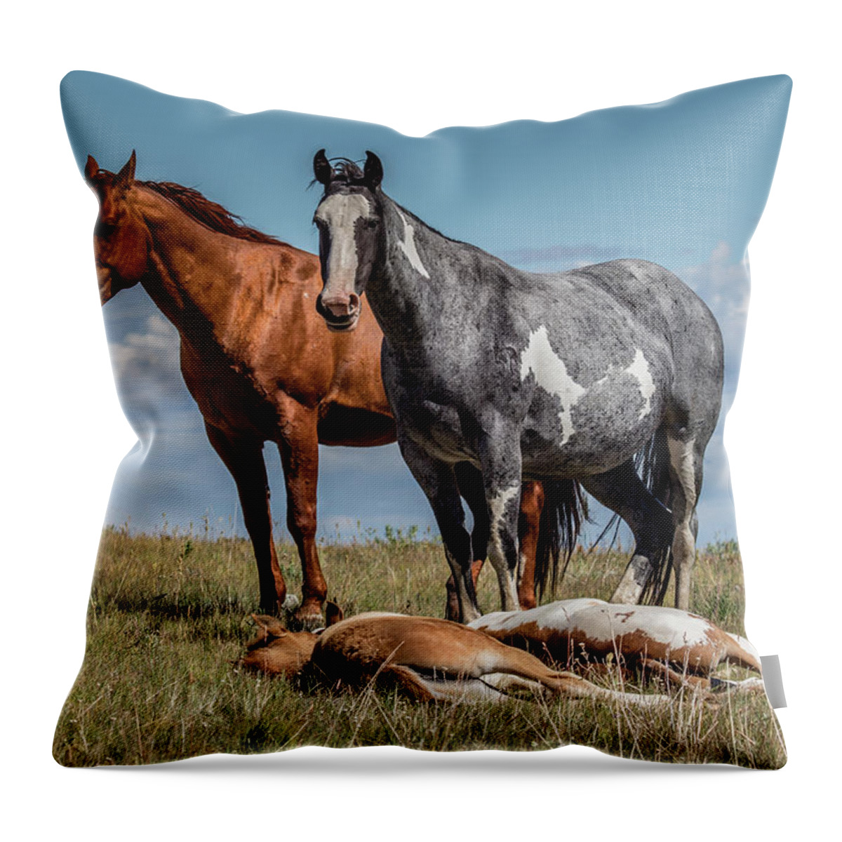 Wild Throw Pillow featuring the photograph Standing Watch Over the Foals by Teresa Wilson
