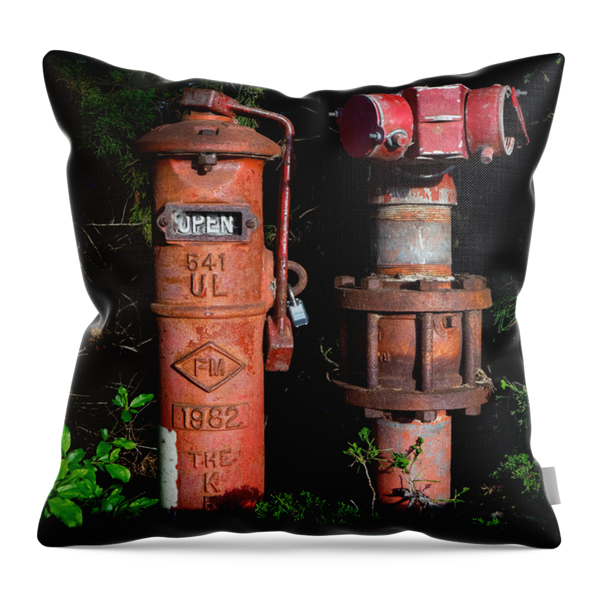 Standpipes Throw Pillow featuring the photograph Standpipes by Derek Dean