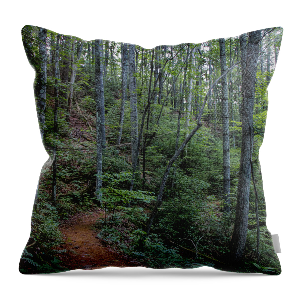 Stanly Gap Trail Throw Pillow featuring the photograph Stanly Gap Trail by Barbara Bowen