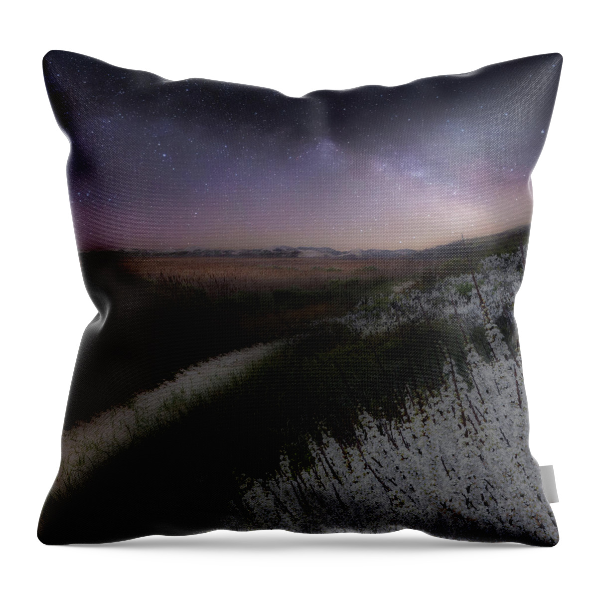 Square Throw Pillow featuring the photograph Star Flowers Square by Bill Wakeley