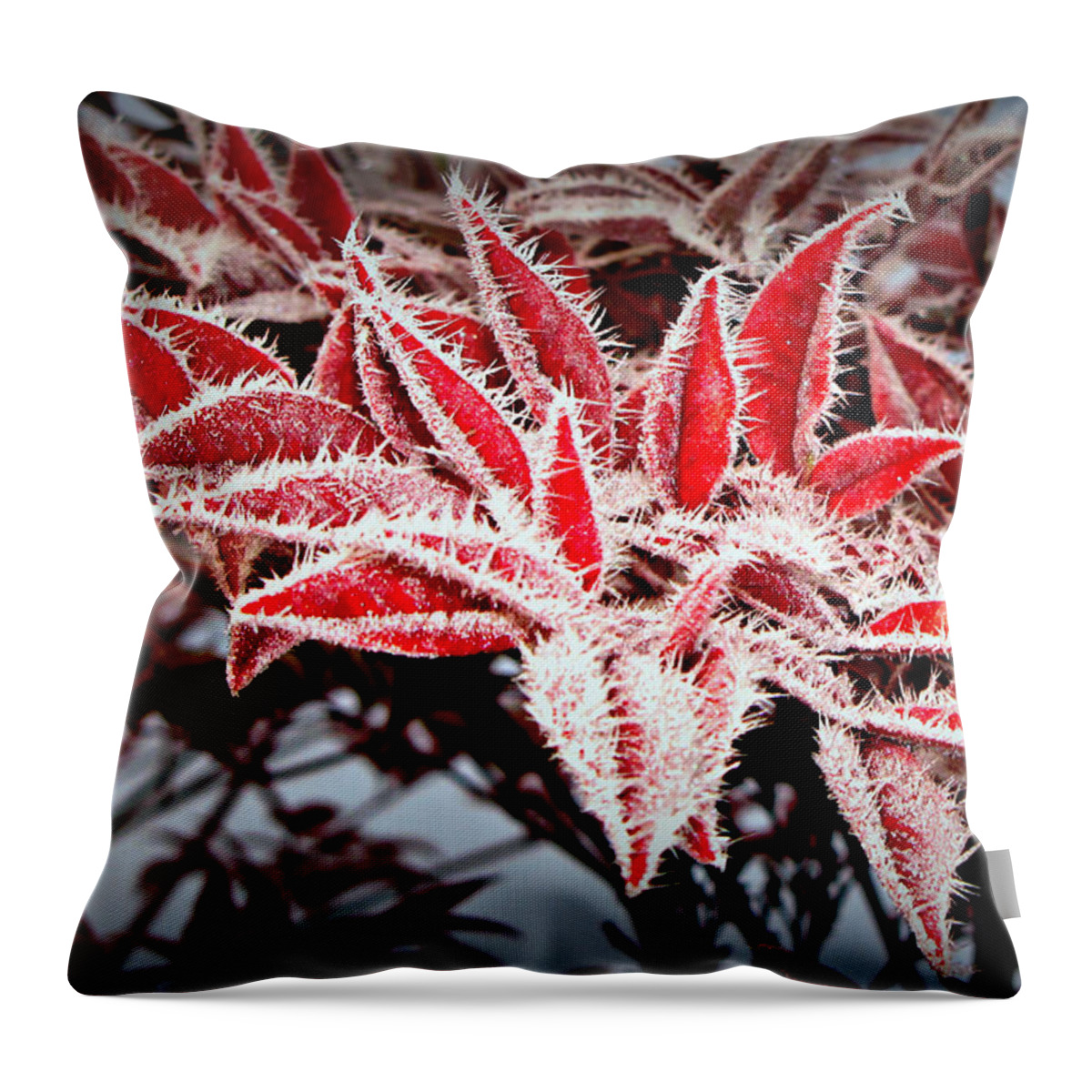 Orange Throw Pillow featuring the photograph Star Leaves by KATIE Vigil
