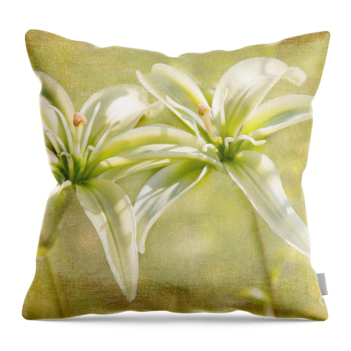 Lilycrest Throw Pillow featuring the photograph Star Light Star Bright by Marilyn Cornwell