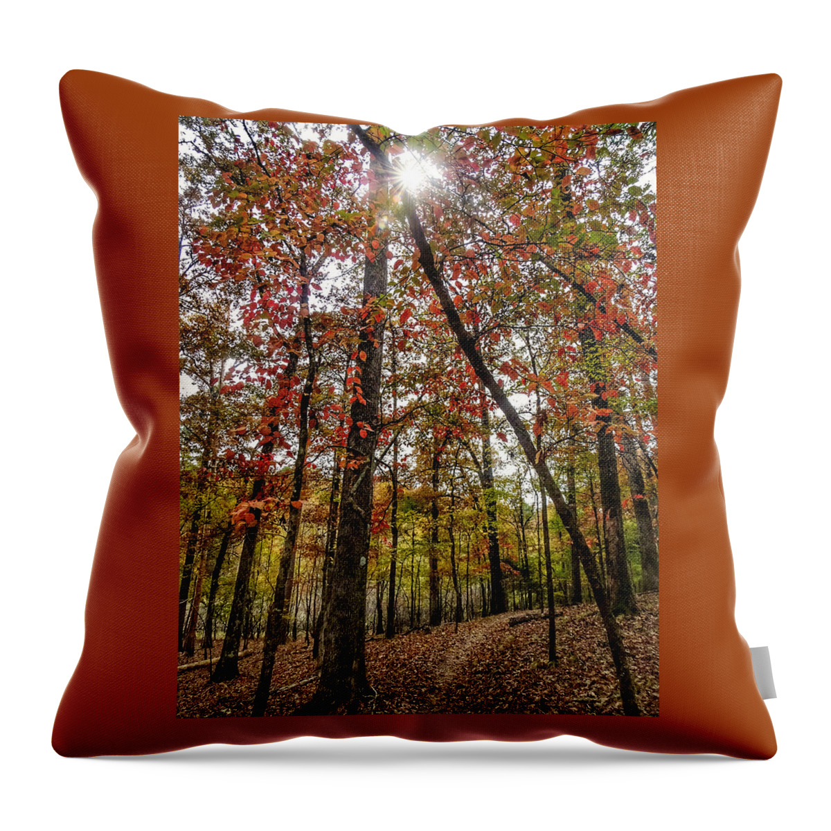 Starburst Throw Pillow featuring the photograph Starburst in the Forest by Doris Aguirre