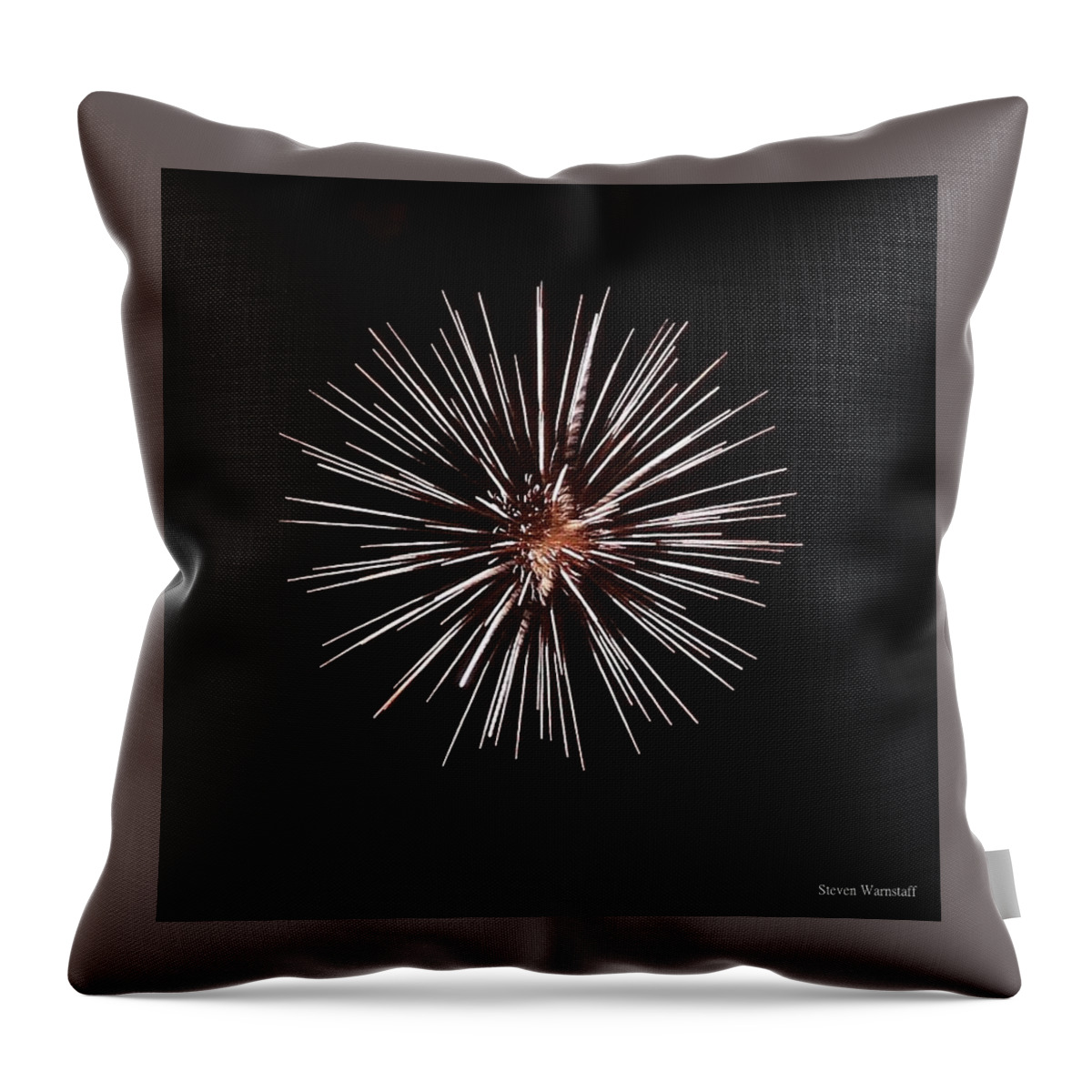 Oregon Throw Pillow featuring the photograph Starburst by Steve Warnstaff